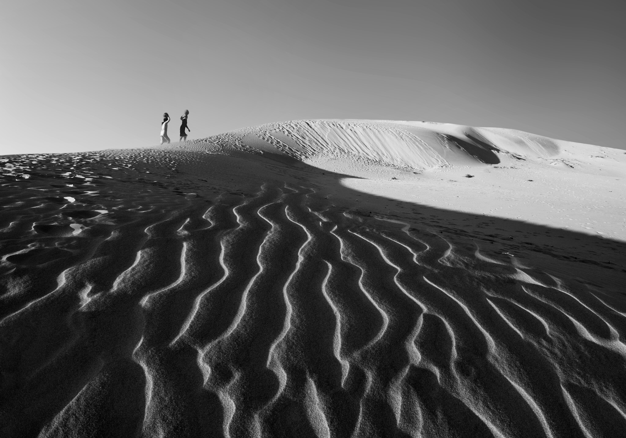 Canon EF-S 18-55mm F3.5-5.6 IS sample photo. Sand snake photography