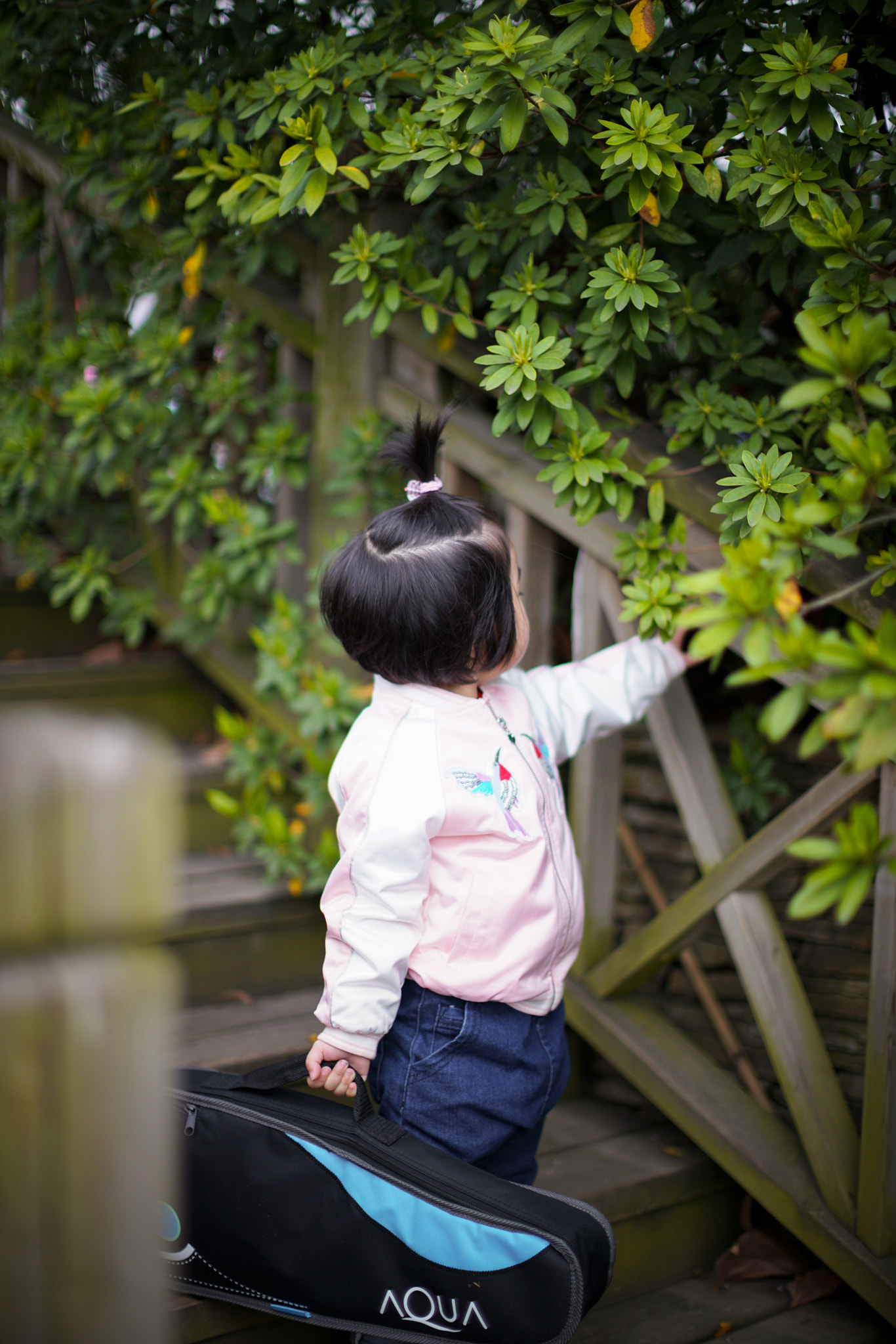Canon EF 50mm F1.2L USM sample photo
