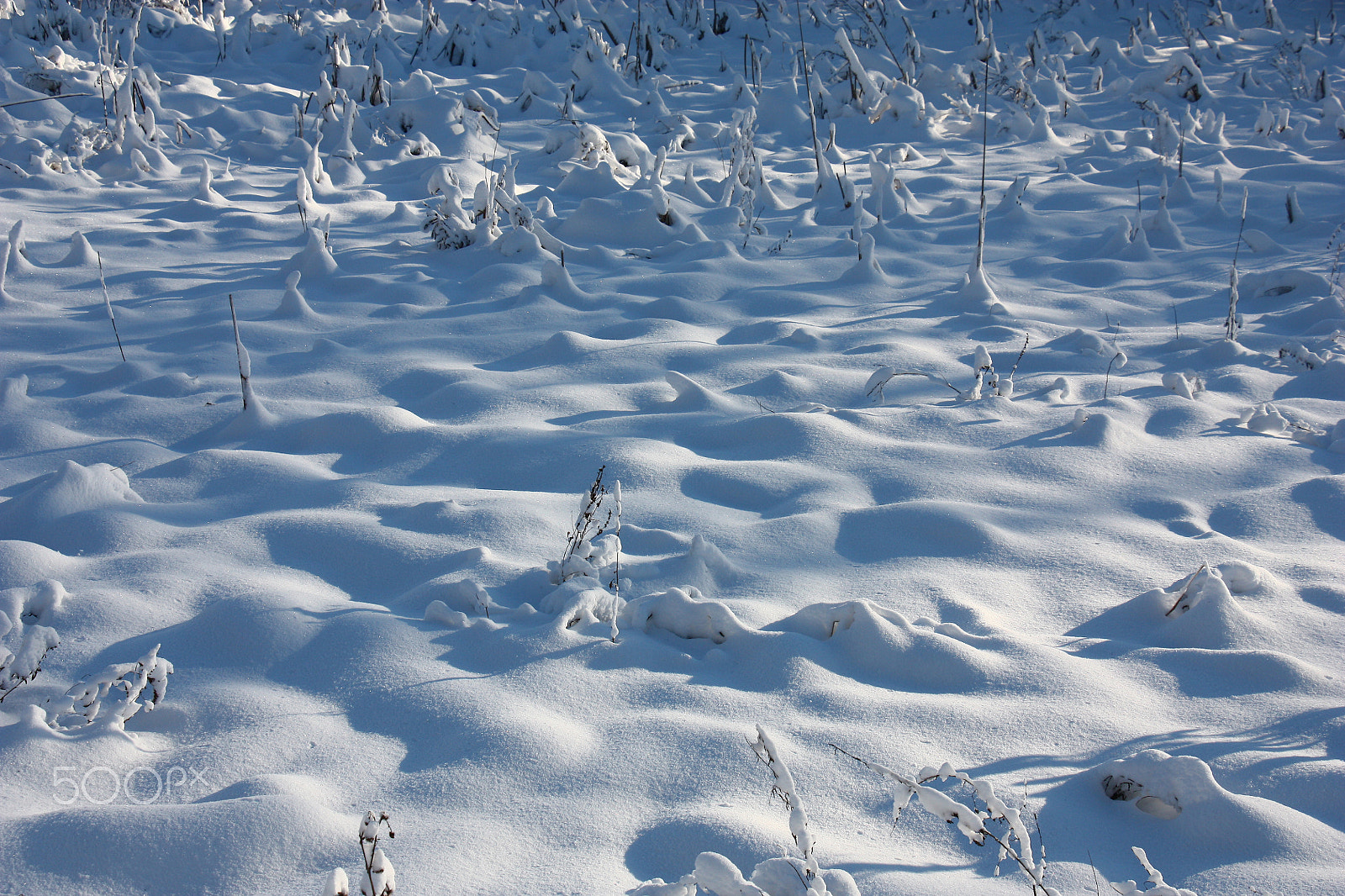 Canon EOS 450D (EOS Rebel XSi / EOS Kiss X2) sample photo. Snow covered meadow. photography