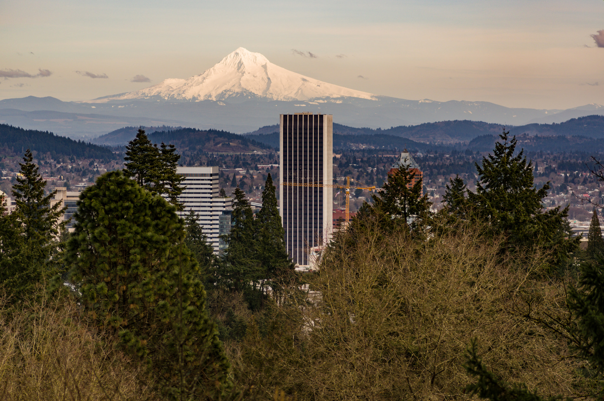 Pentax smc D-FA 100mm F2.8 Macro WR sample photo. Mt hood from portland photography