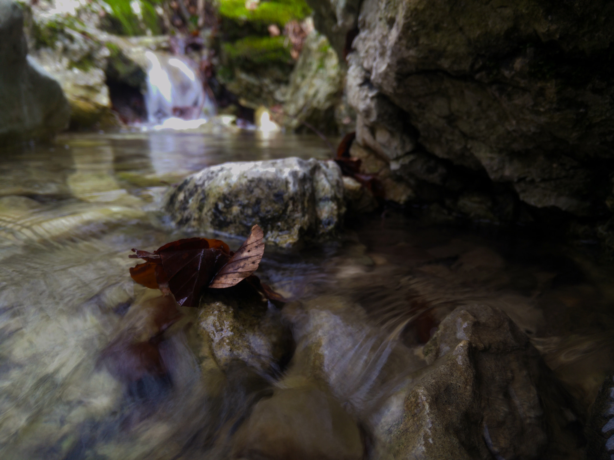 OPPO Find7 sample photo. The winter is over photography