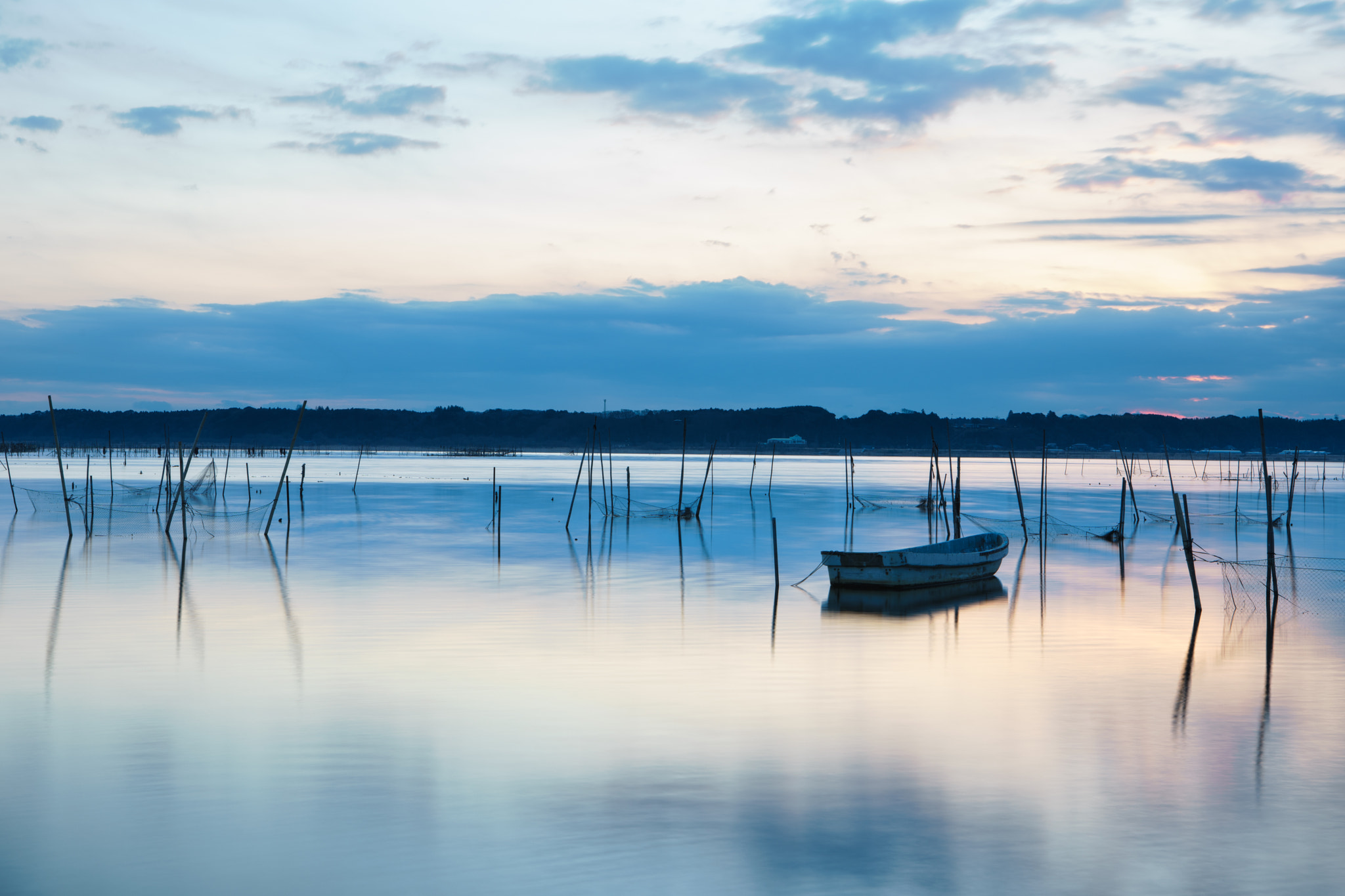 Sony a7 II + Canon EF 24-70mm F2.8L USM sample photo. Inba marsh in chiba, japan photography