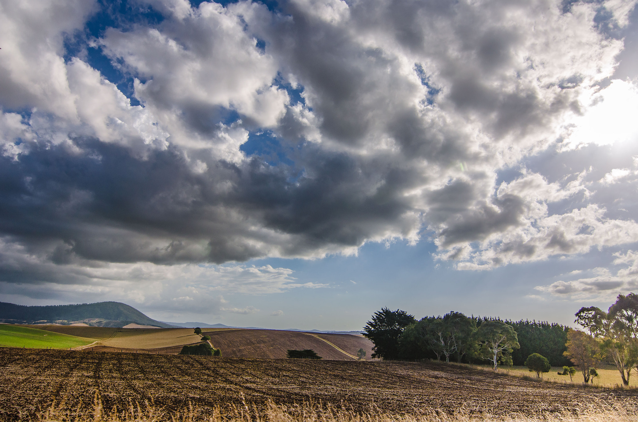 Tokina AT-X Pro 11-16mm F2.8 DX sample photo. Tasmanian fields photography