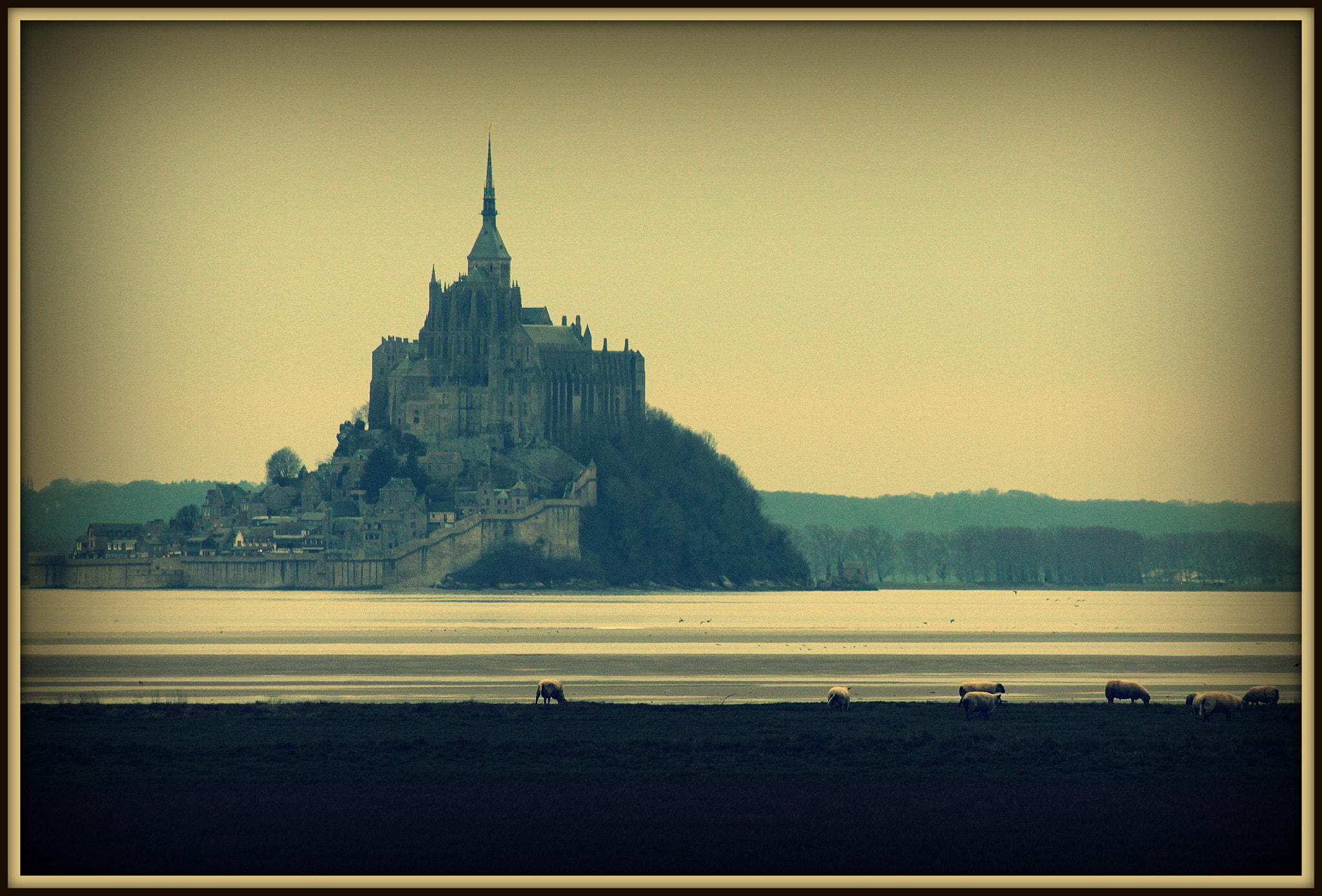 Canon EOS 600D (Rebel EOS T3i / EOS Kiss X5) + EF75-300mm f/4-5.6 sample photo. Mont saint michel photography