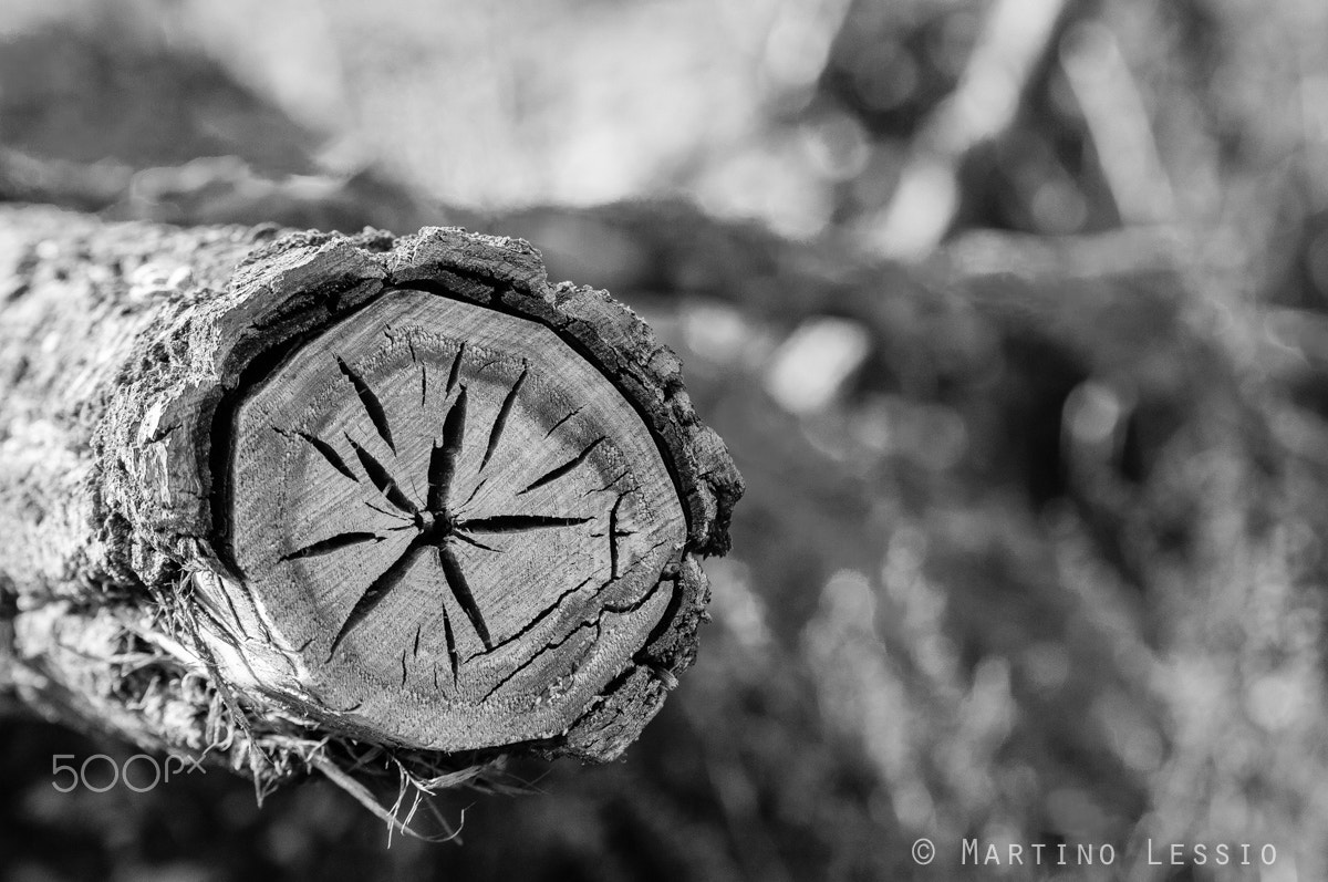 Nikon D300S sample photo. Black white star photography