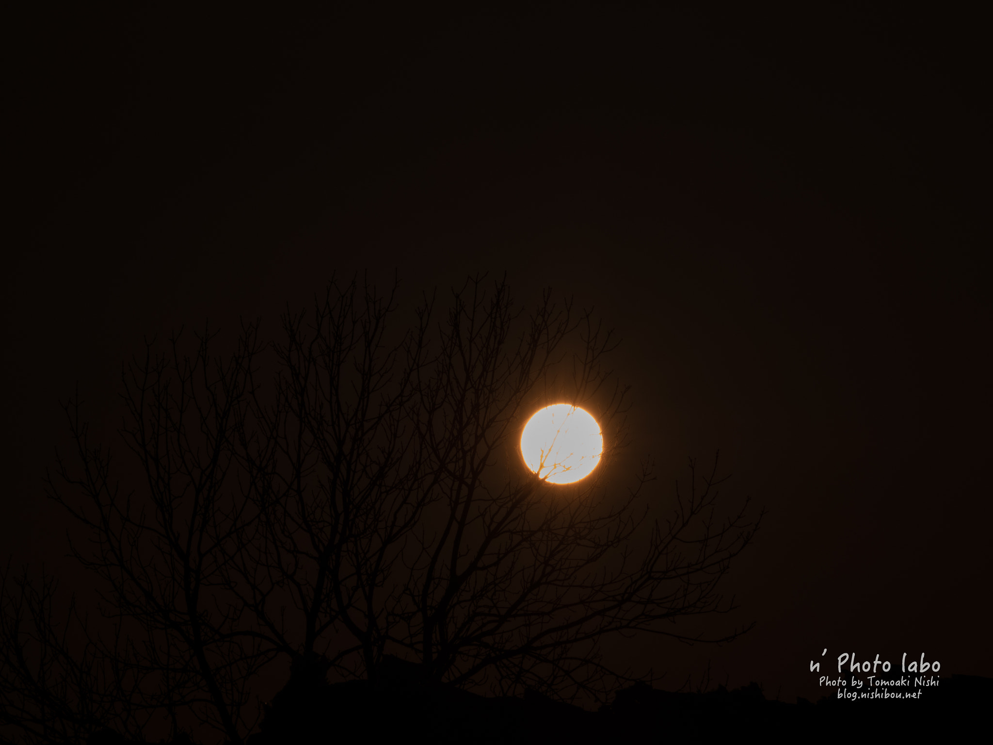 Olympus OM-D E-M1 Mark II + Olympus M.Zuiko Digital ED 40-150mm F2.8 Pro sample photo. 夕陽 photography