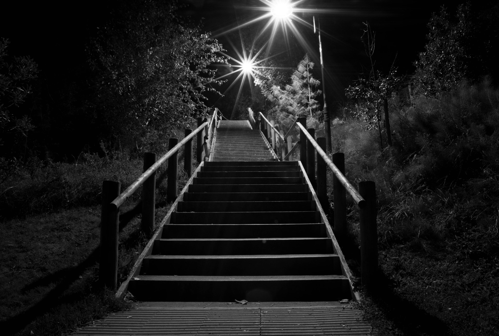 Nikon D800E + Nikon AF Nikkor 20mm F2.8D sample photo. Lit steps in lyme regis. dorset photography