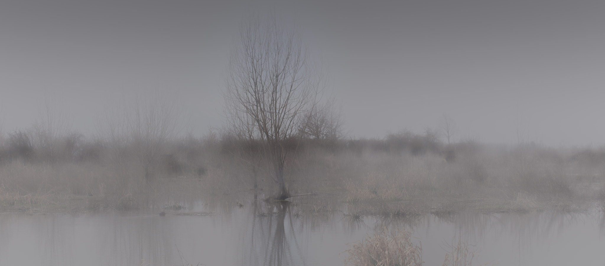 Canon EF 75-300mm F4.0-5.6 IS USM sample photo. Oasi di racconigi photography