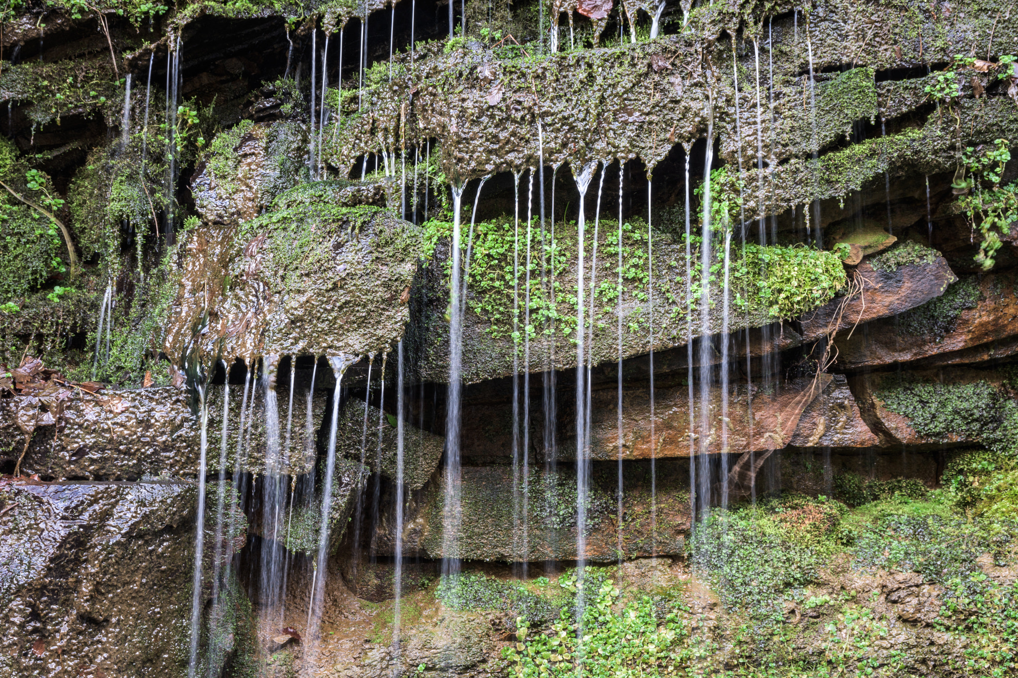 Nikon D7200 sample photo