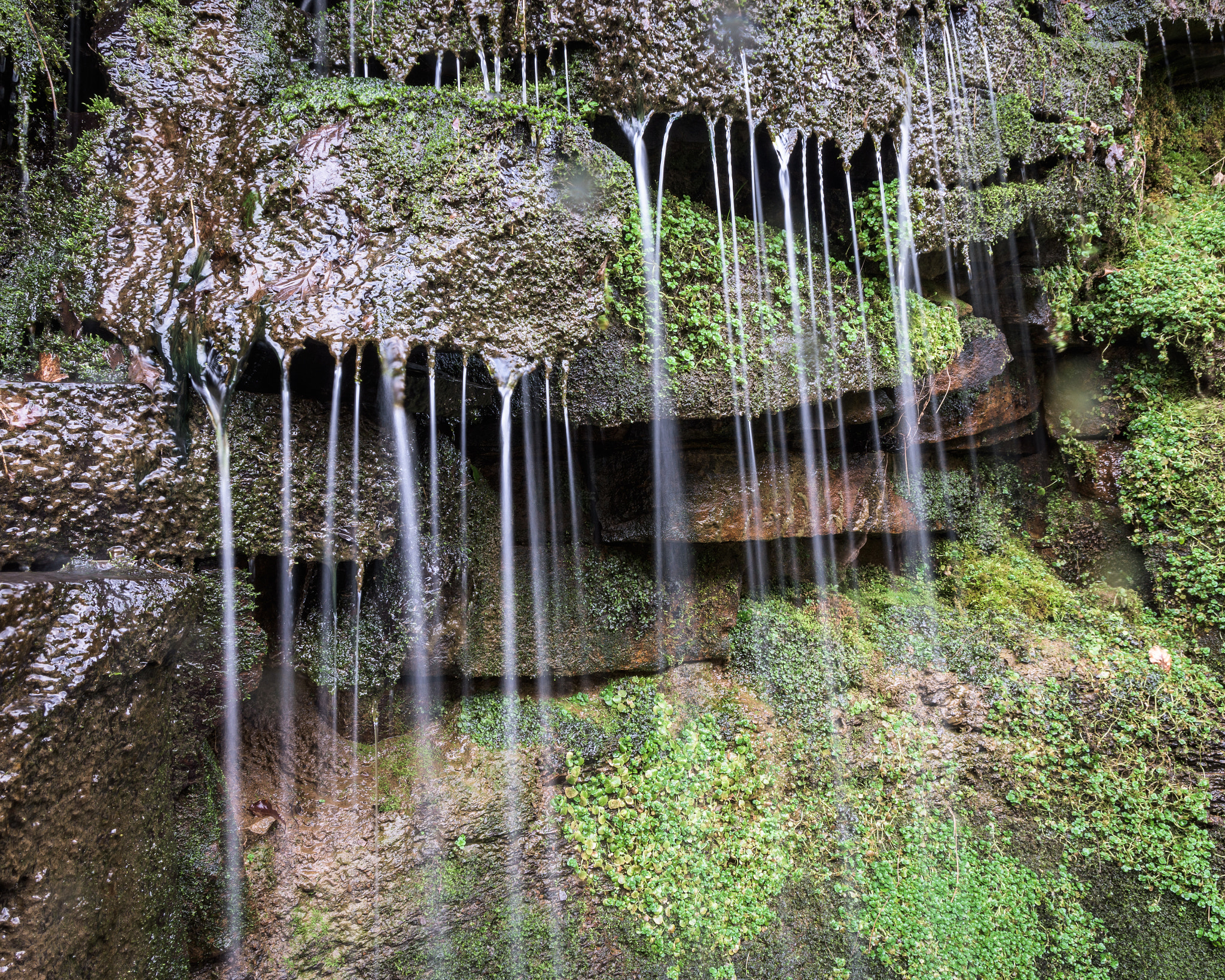 Nikon D7200 sample photo
