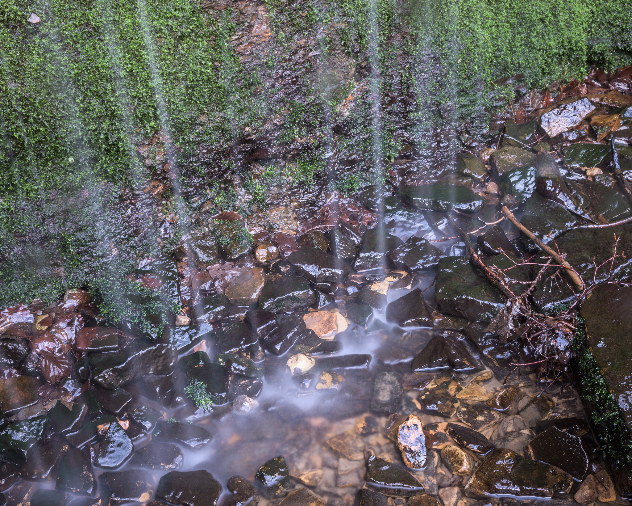 Nikon D7200 sample photo