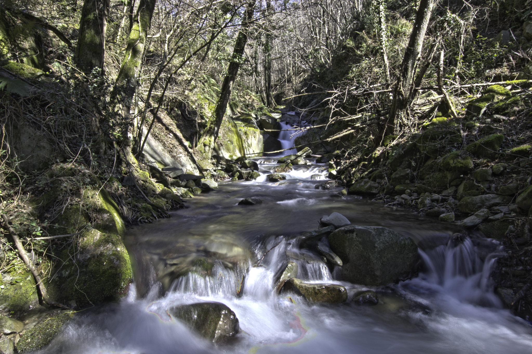 Sigma 10-20mm F3.5 EX DC HSM sample photo. Ruscello nei boschi pistoiesi photography