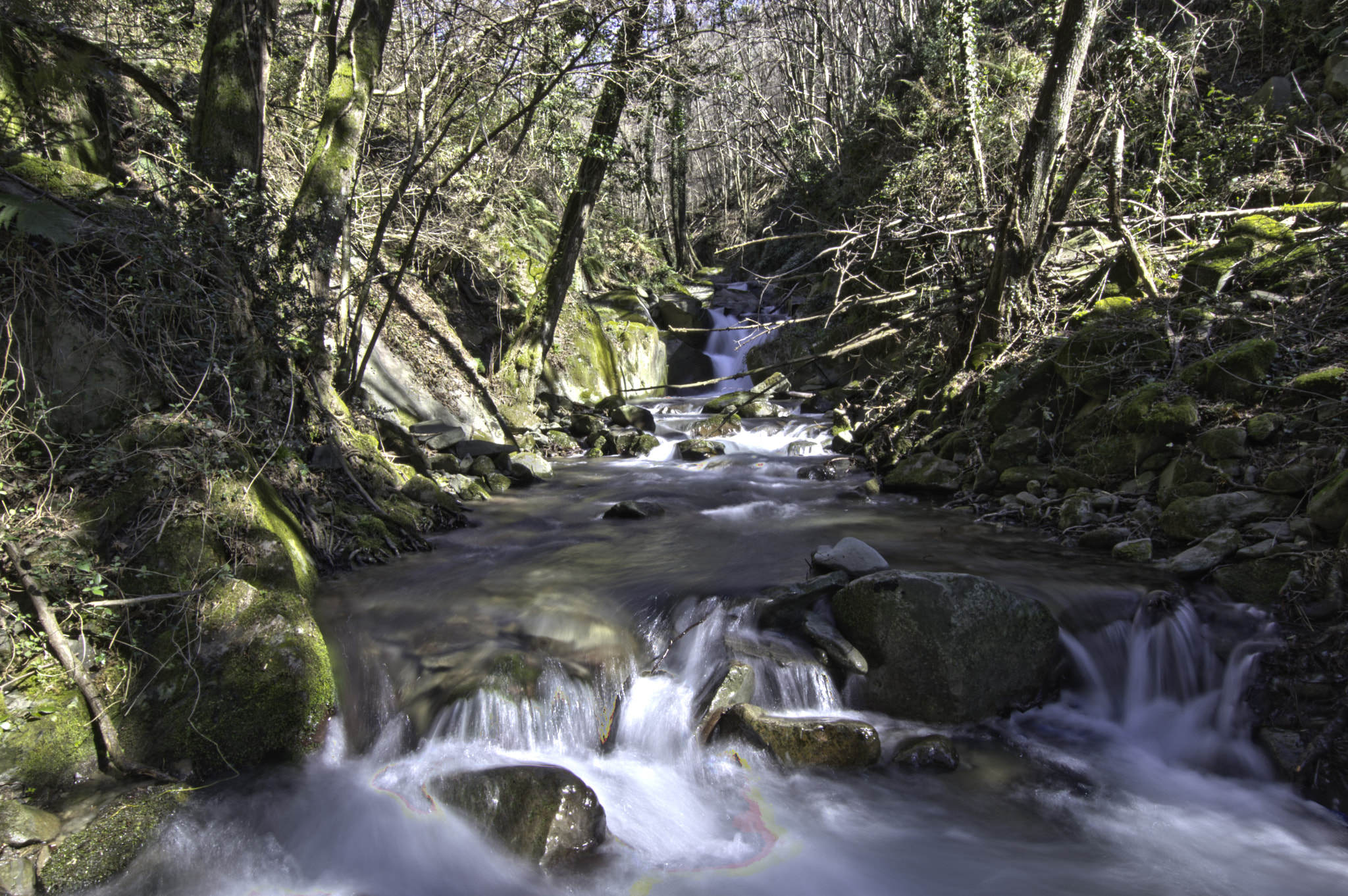 Nikon D3200 + Sigma 10-20mm F3.5 EX DC HSM sample photo. Ruscello nei boschi pistoiesi photography