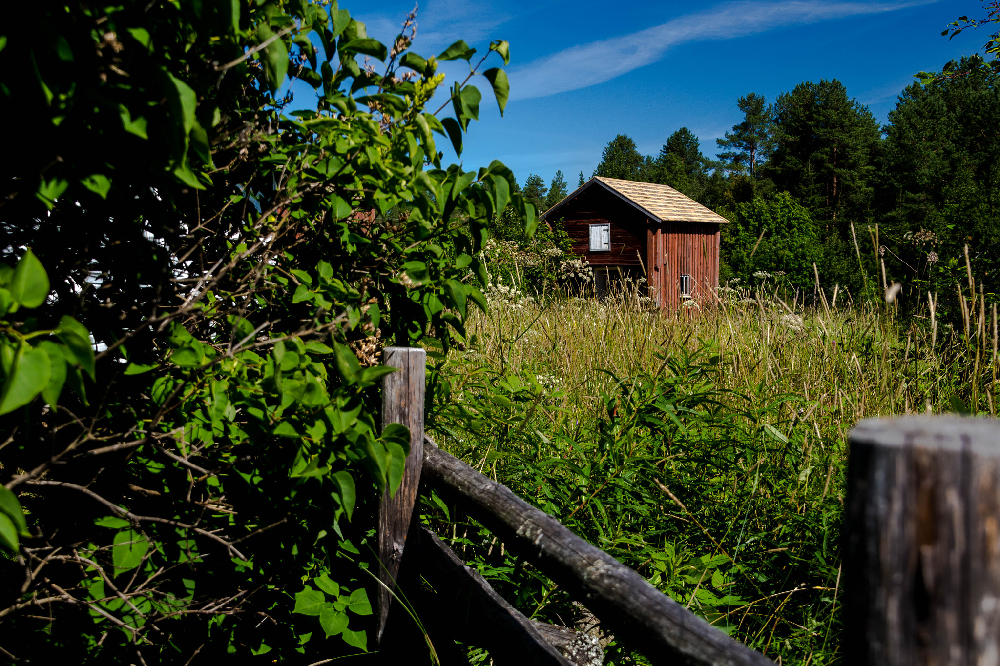 Canon EOS 100D (EOS Rebel SL1 / EOS Kiss X7) sample photo. An overgrown field with an old barn in the middle photography