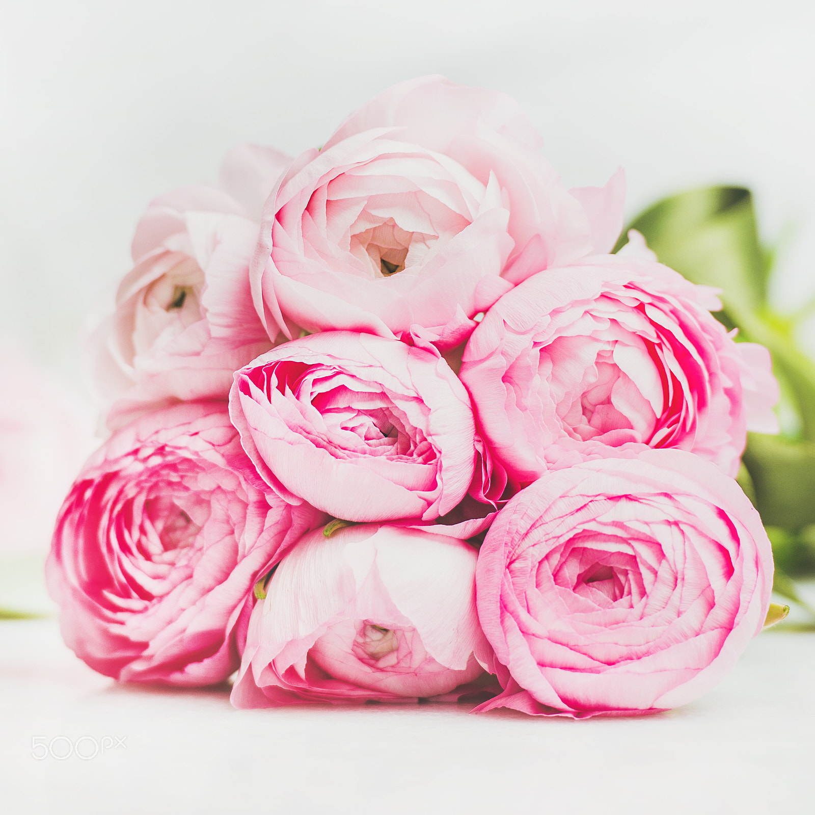 Nikon AF-S Nikkor 70-200mm F2.8G ED VR II sample photo. Light pink spring ranunkulus flowers on marble background, square crop photography
