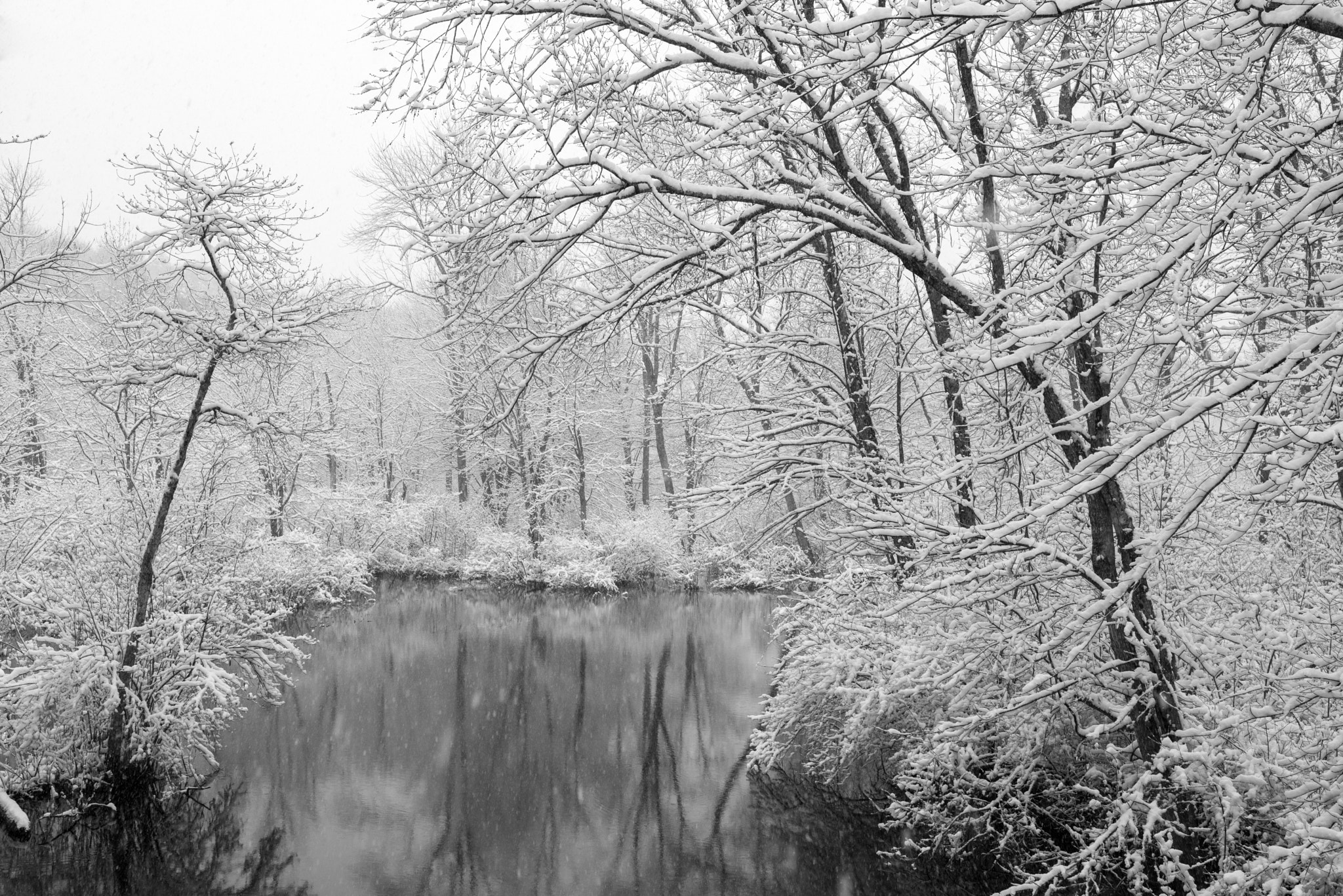 Pentax K-1 sample photo. Snowy trees hanging over stream photography