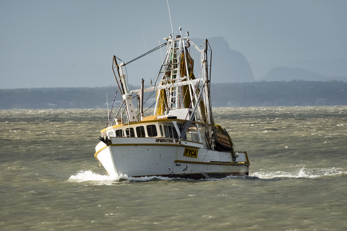 Sigma 150-500mm F5-6.3 DG OS HSM sample photo. In from the storm photography