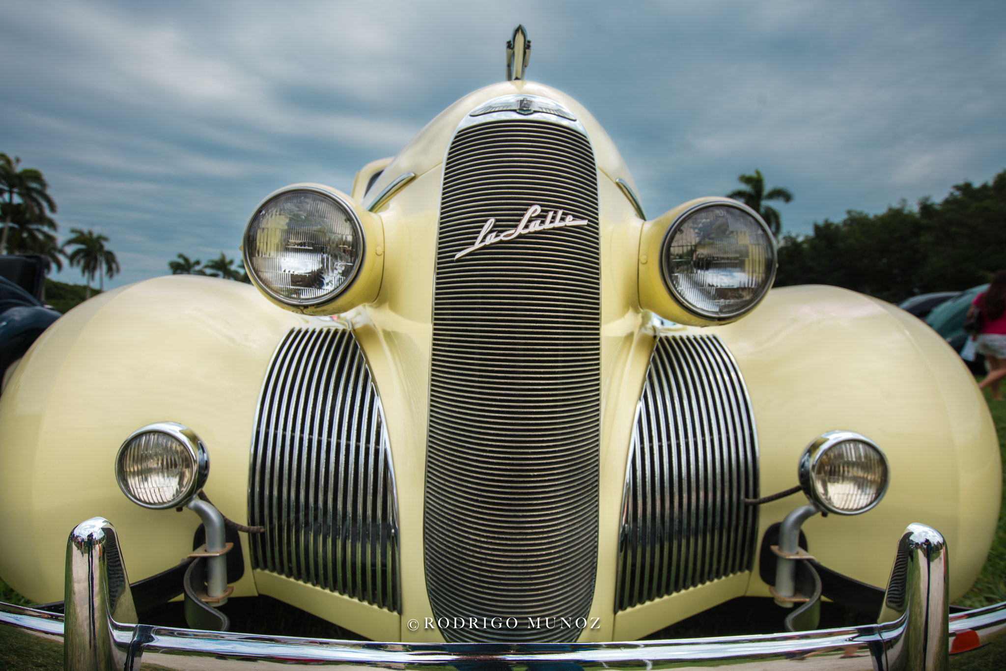 Canon EF 16-35mm F2.8L II USM sample photo. Mellow yellow photography
