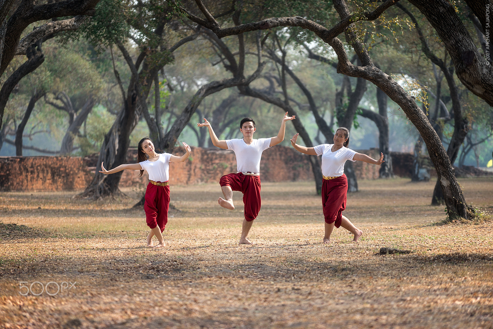 Sony a7 + Sony FE 70-200mm F4 G OSS sample photo. Dances with friends photography