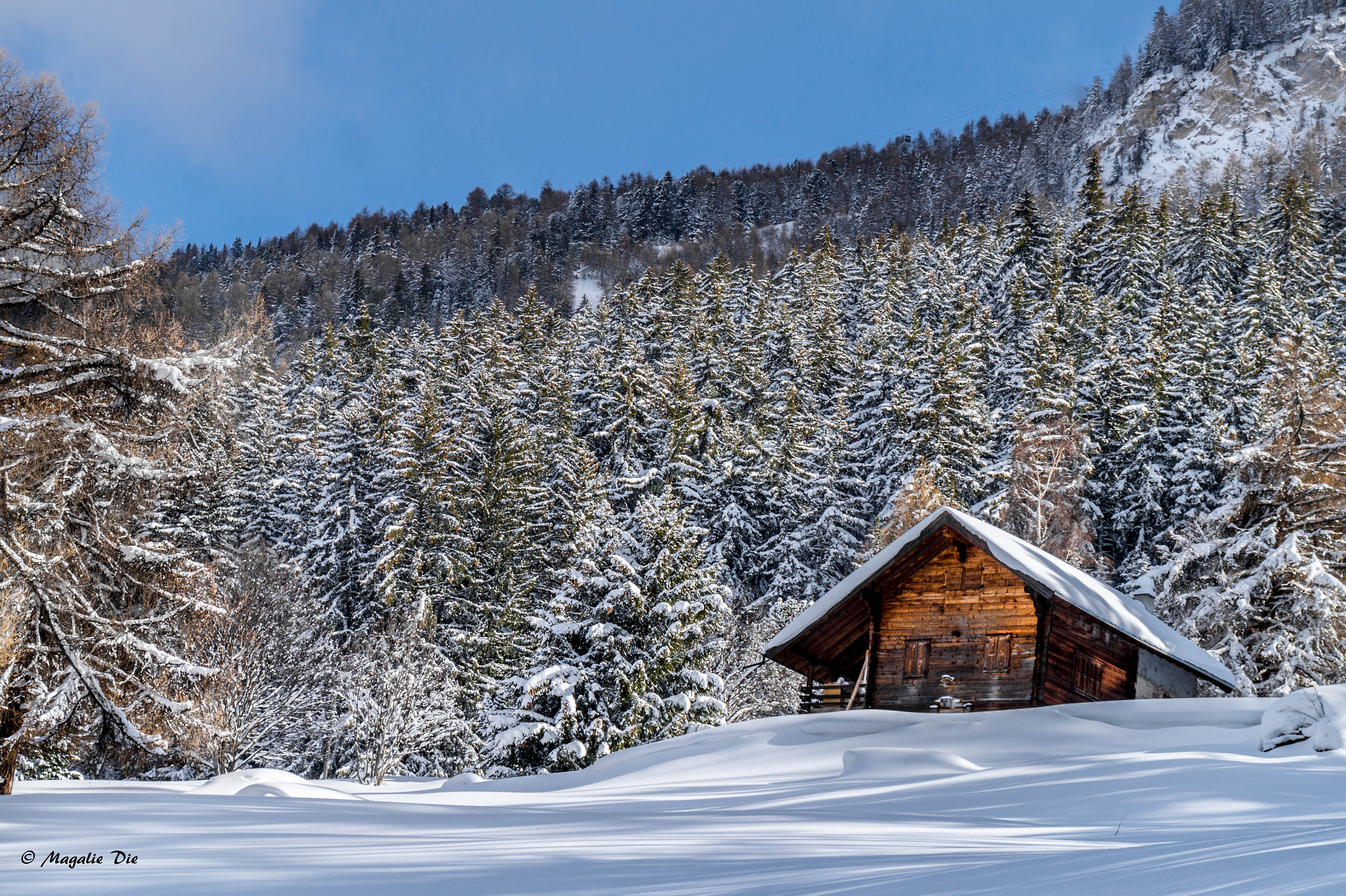 Sony Alpha a5000 (ILCE 5000) + Sony FE 28-70mm F3.5-5.6 OSS sample photo. Le chalet à la montagne.   photography