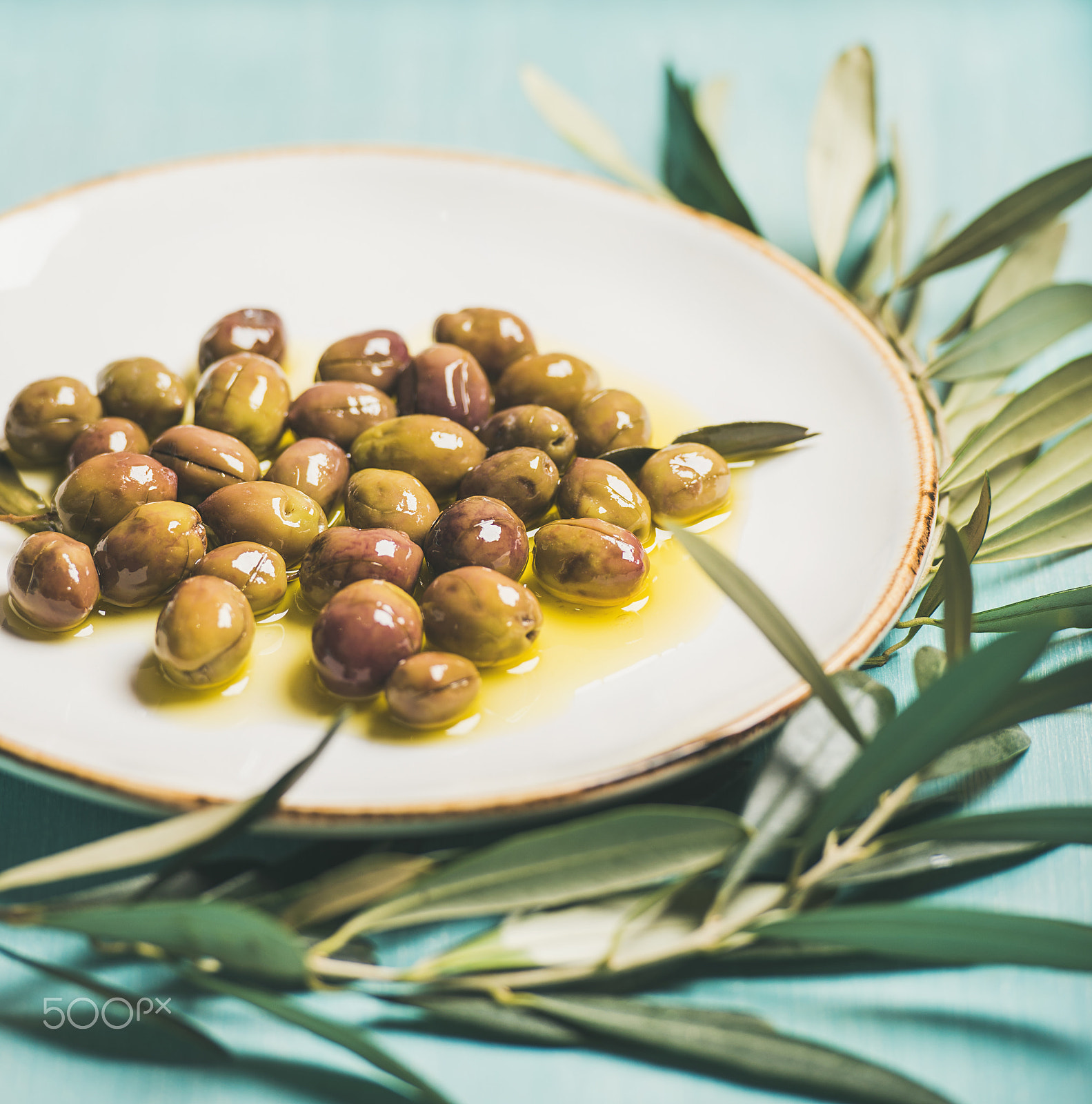 Nikon D610 sample photo. Pickled olives on plate and olive-tree branch over blue background photography