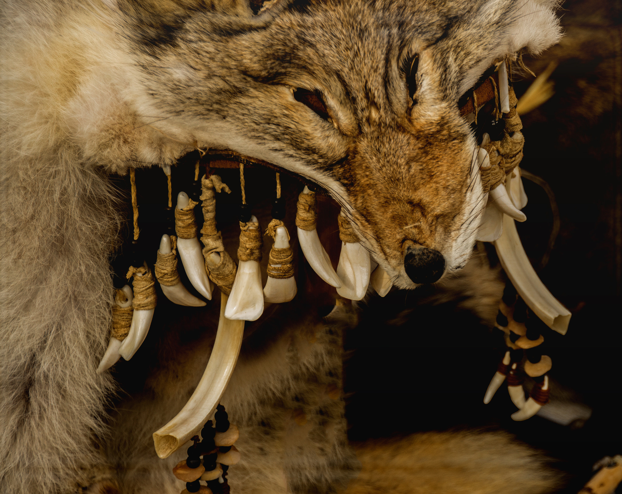 Canon EOS 750D (EOS Rebel T6i / EOS Kiss X8i) sample photo. Neolithic wolf headress photography