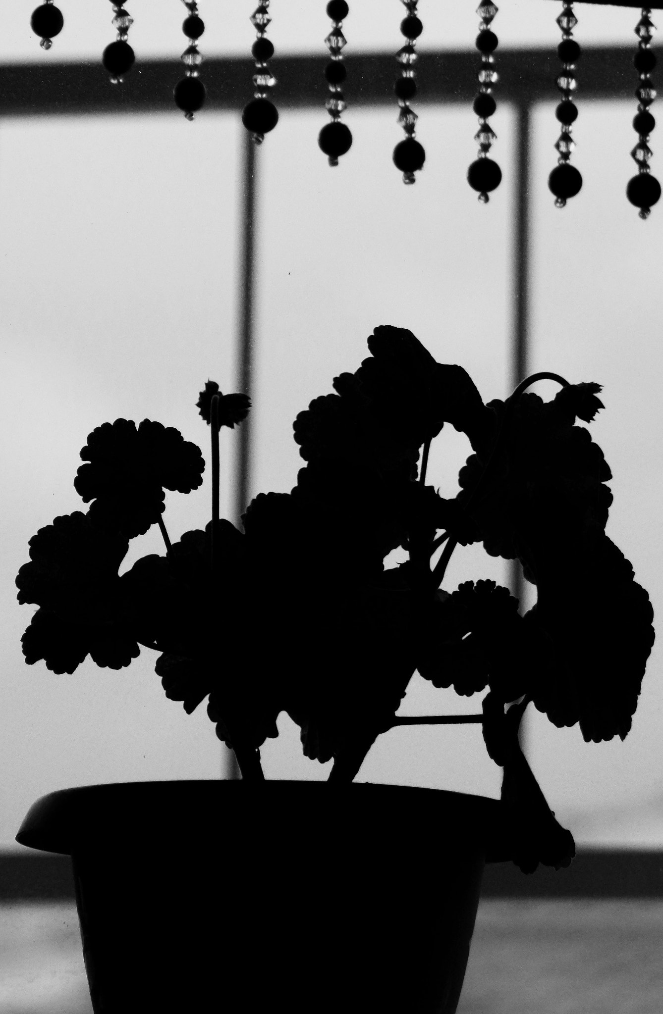 Samsung NX mini sample photo. Window silhouette  photography