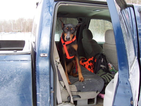 Kodak CX7330 ZOOM DIGITAL CAMERA sample photos - ExploreCams