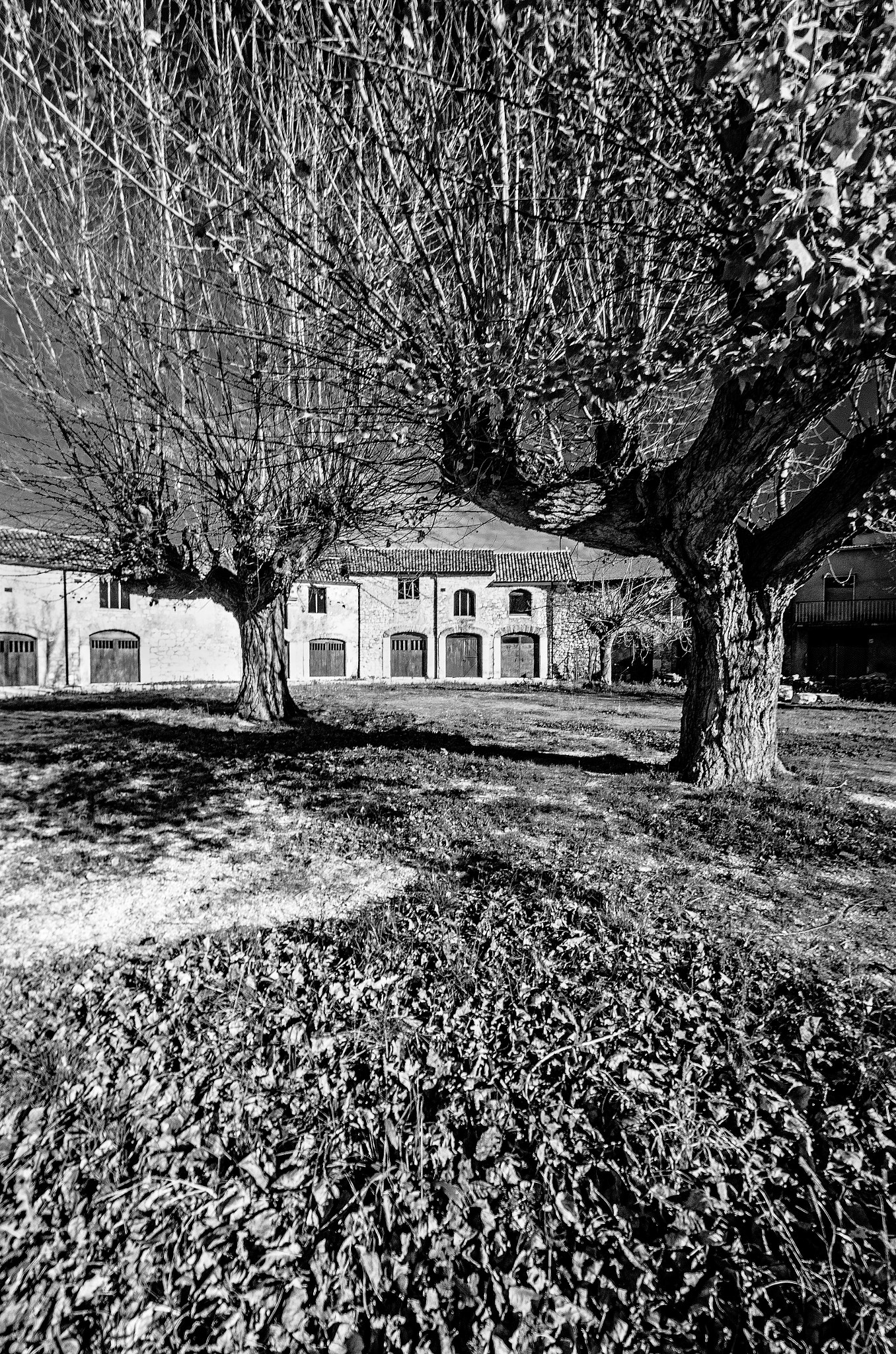 Nikon D7000 + Sigma 10-20mm F3.5 EX DC HSM sample photo. Verlasce photography