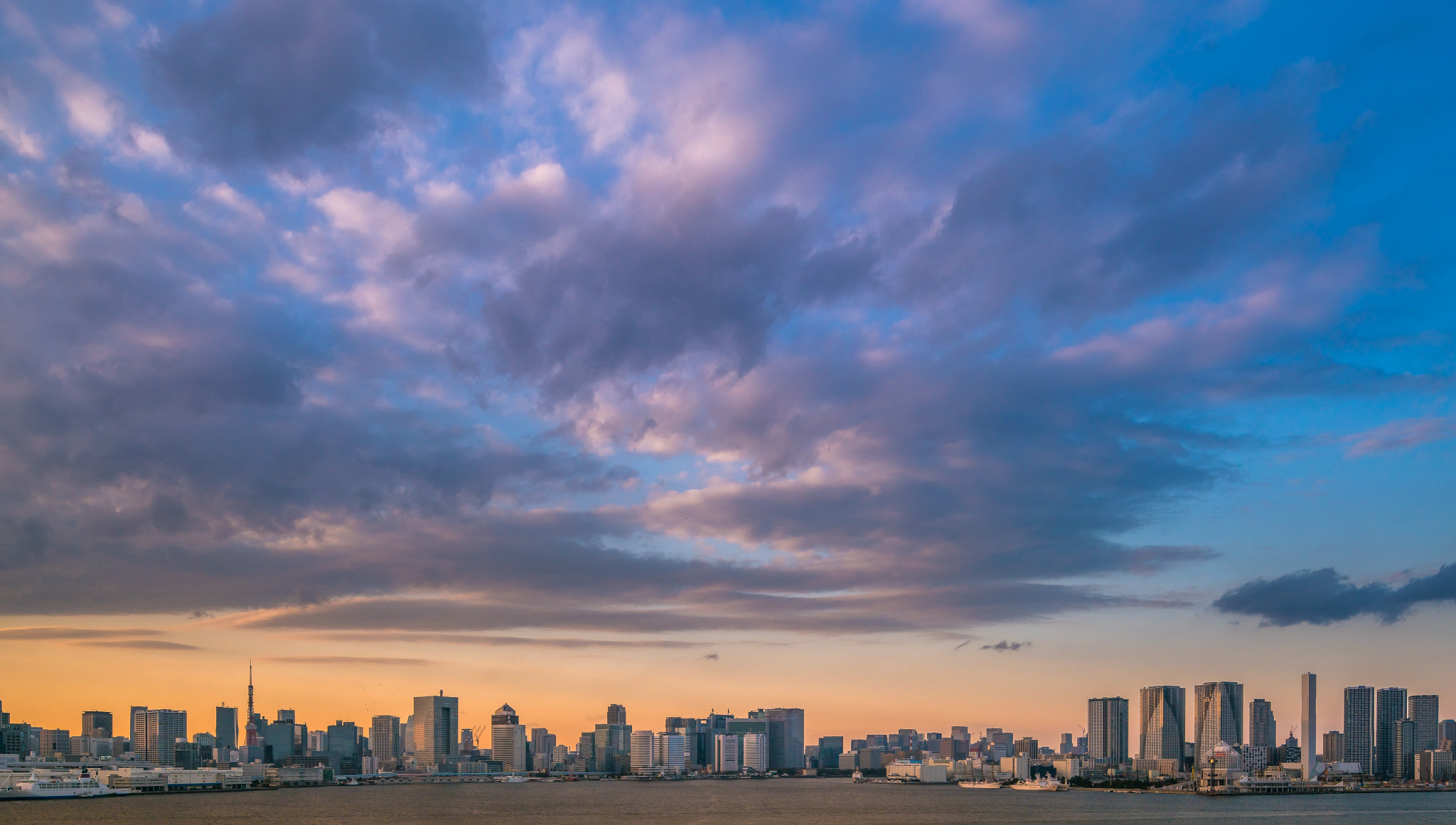 Canon TS-E 24.0mm f/3.5 L II sample photo. Tokyo photography