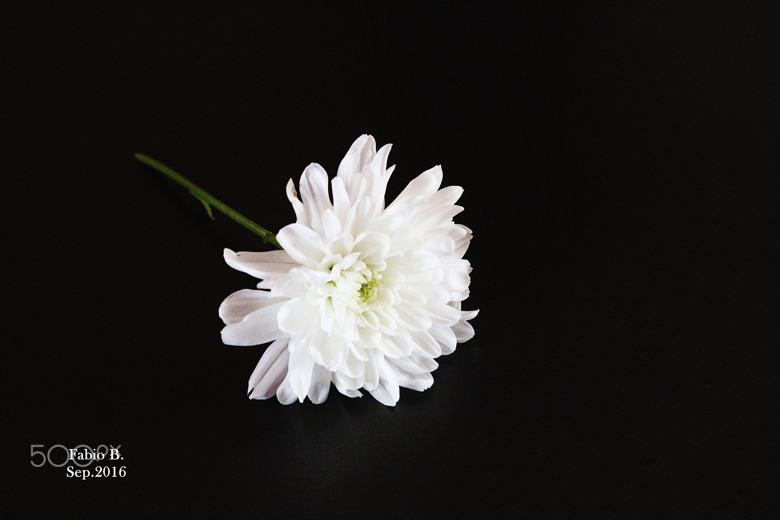 Canon EF-S 55-250mm F4-5.6 IS STM sample photo. Minimalismo photography