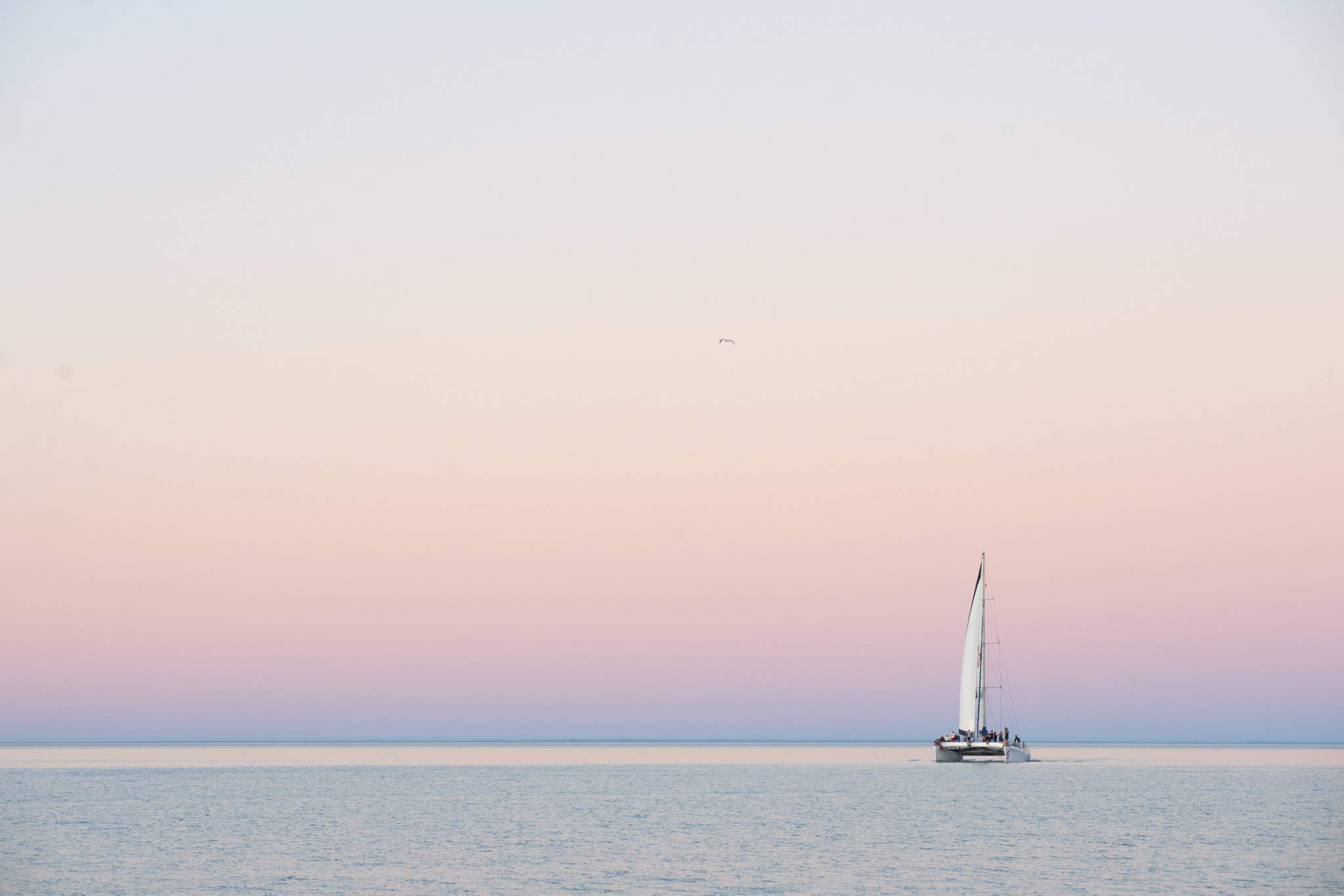 Nikon AF-Nikkor 80-200mm F2.8D ED sample photo. Pinky dream photography