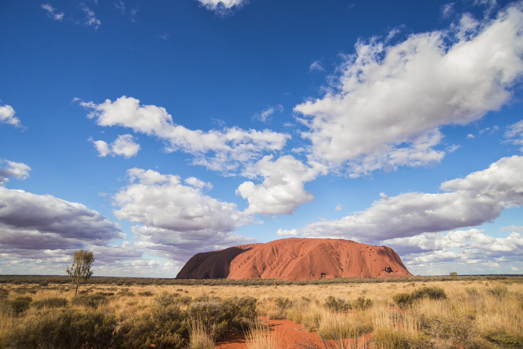 Nikon D600 sample photo. Uluru photography