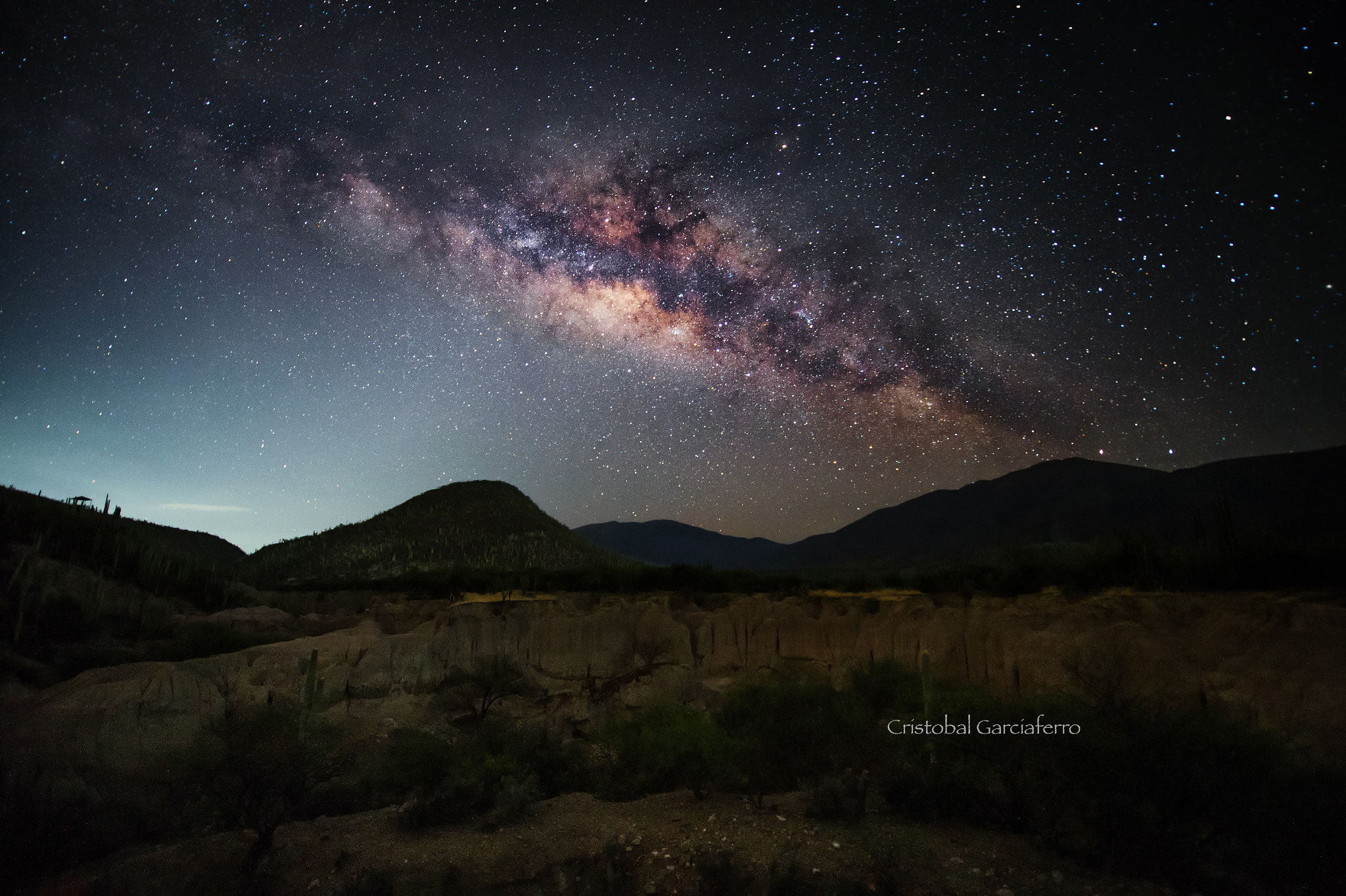 Nikon AF-S Nikkor 14-24mm F2.8G ED sample photo. Milkyway over the cactus land photography