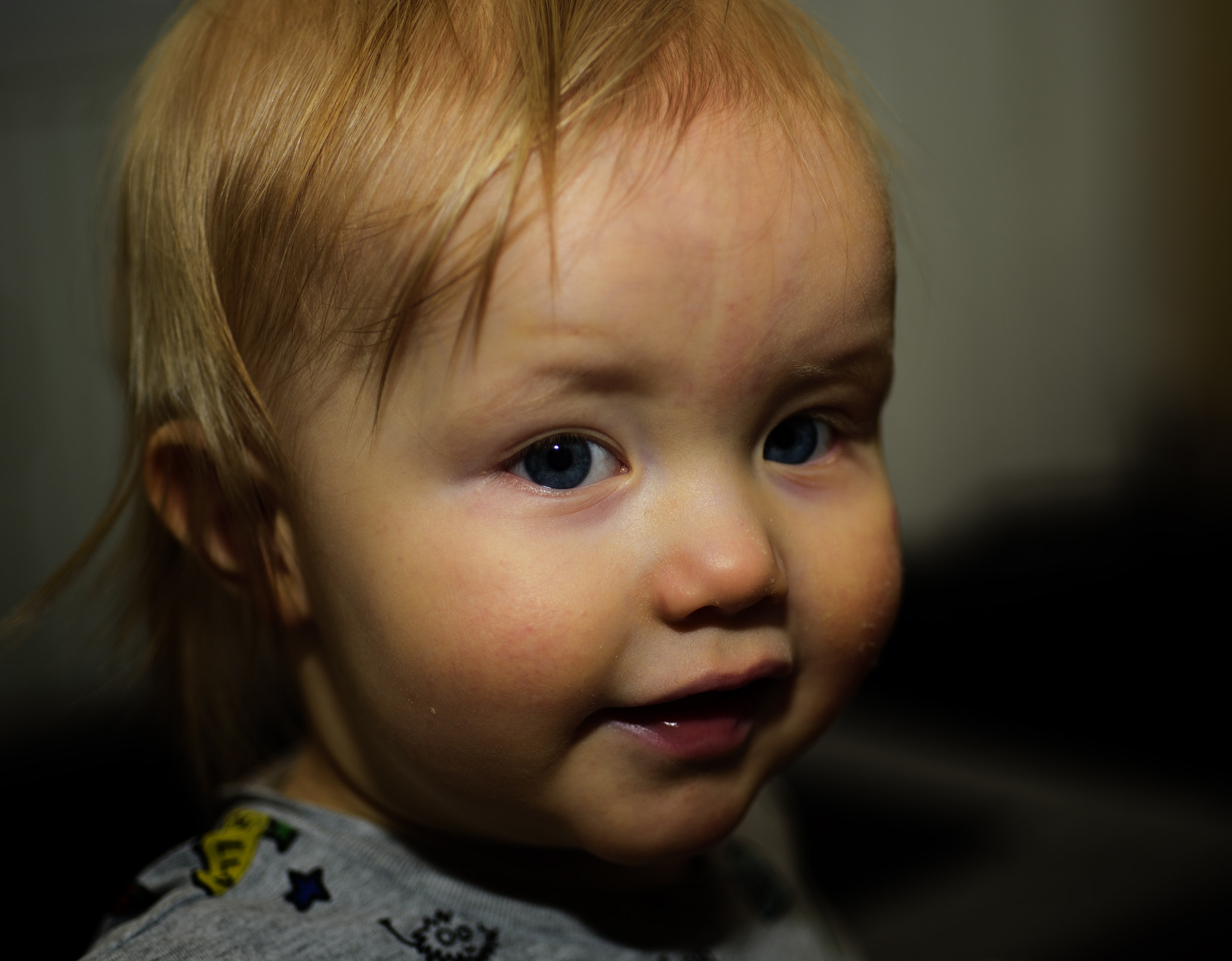 Nikon AF Micro-Nikkor 60mm F2.8D sample photo. Theodore photography