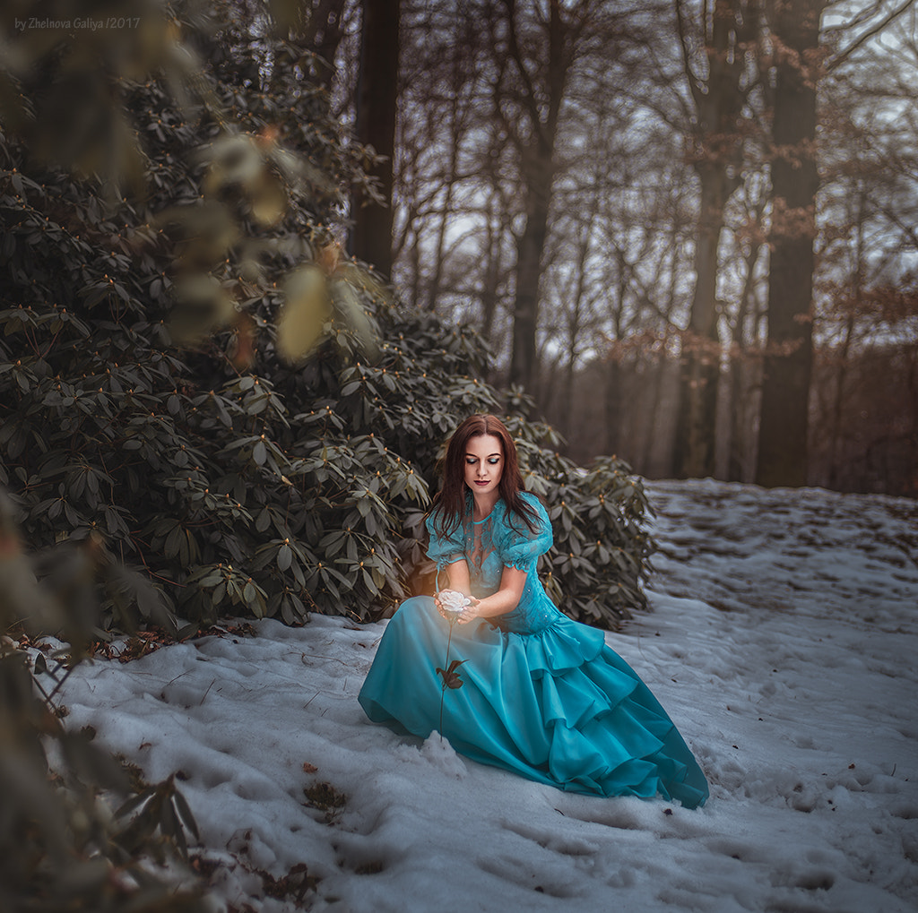 Nikon D7000 + Nikon AF Nikkor 50mm F1.4D sample photo. ... photography