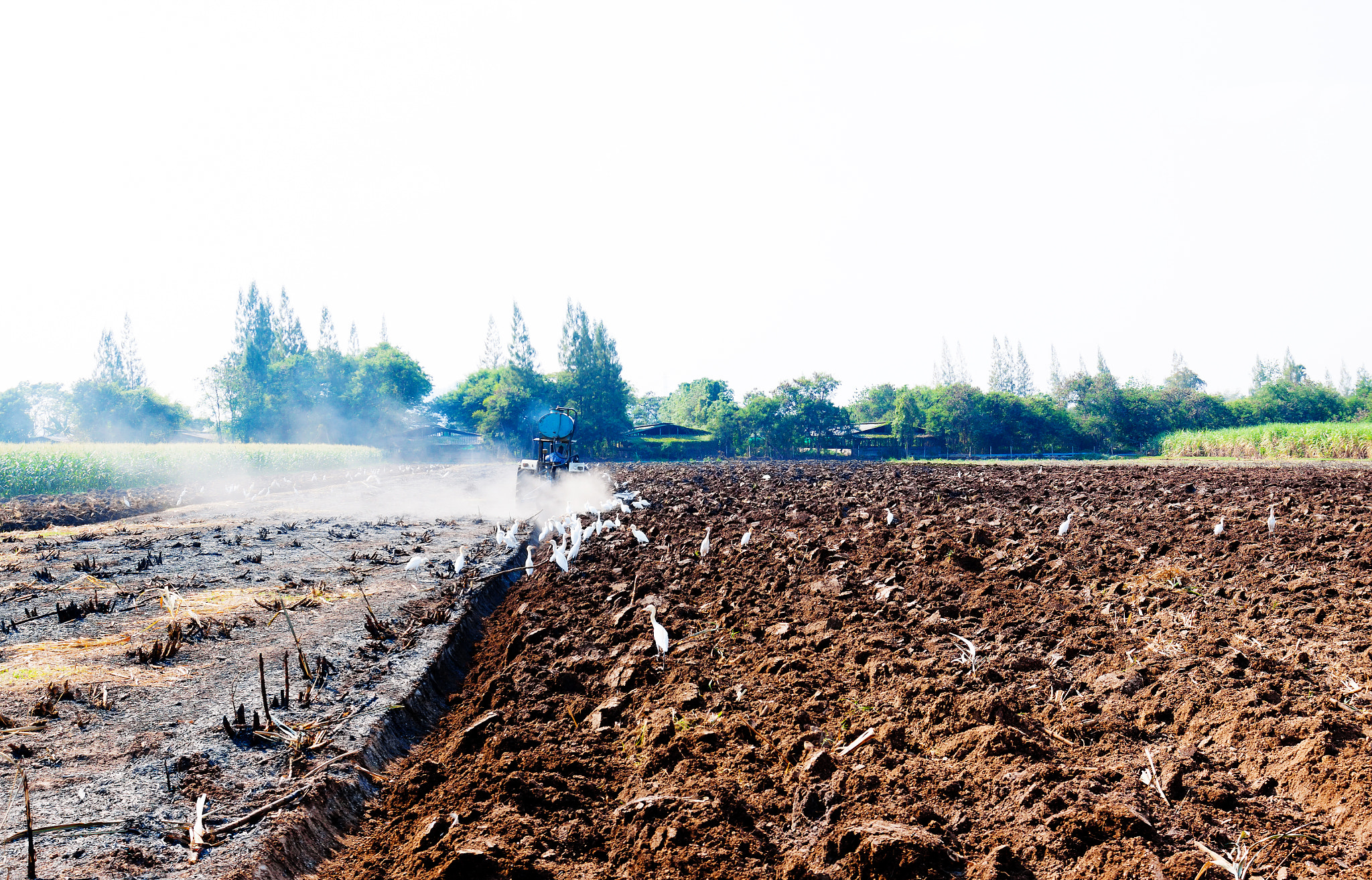 Canon EOS 50D sample photo. Tractor plowing the stubble field (agriculture) photography