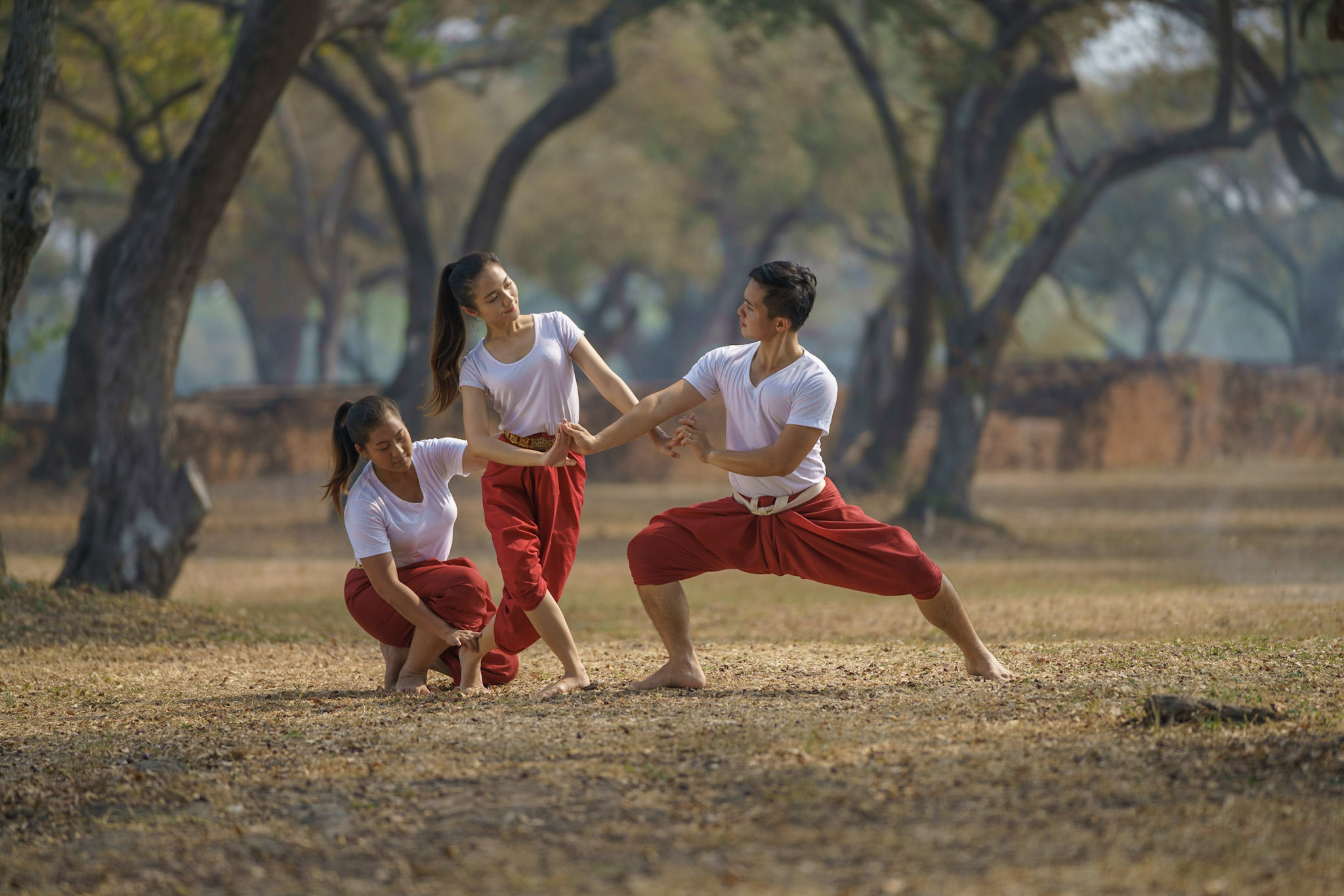 Sony FE 70-200mm F2.8 GM OSS sample photo. Ram thai photography