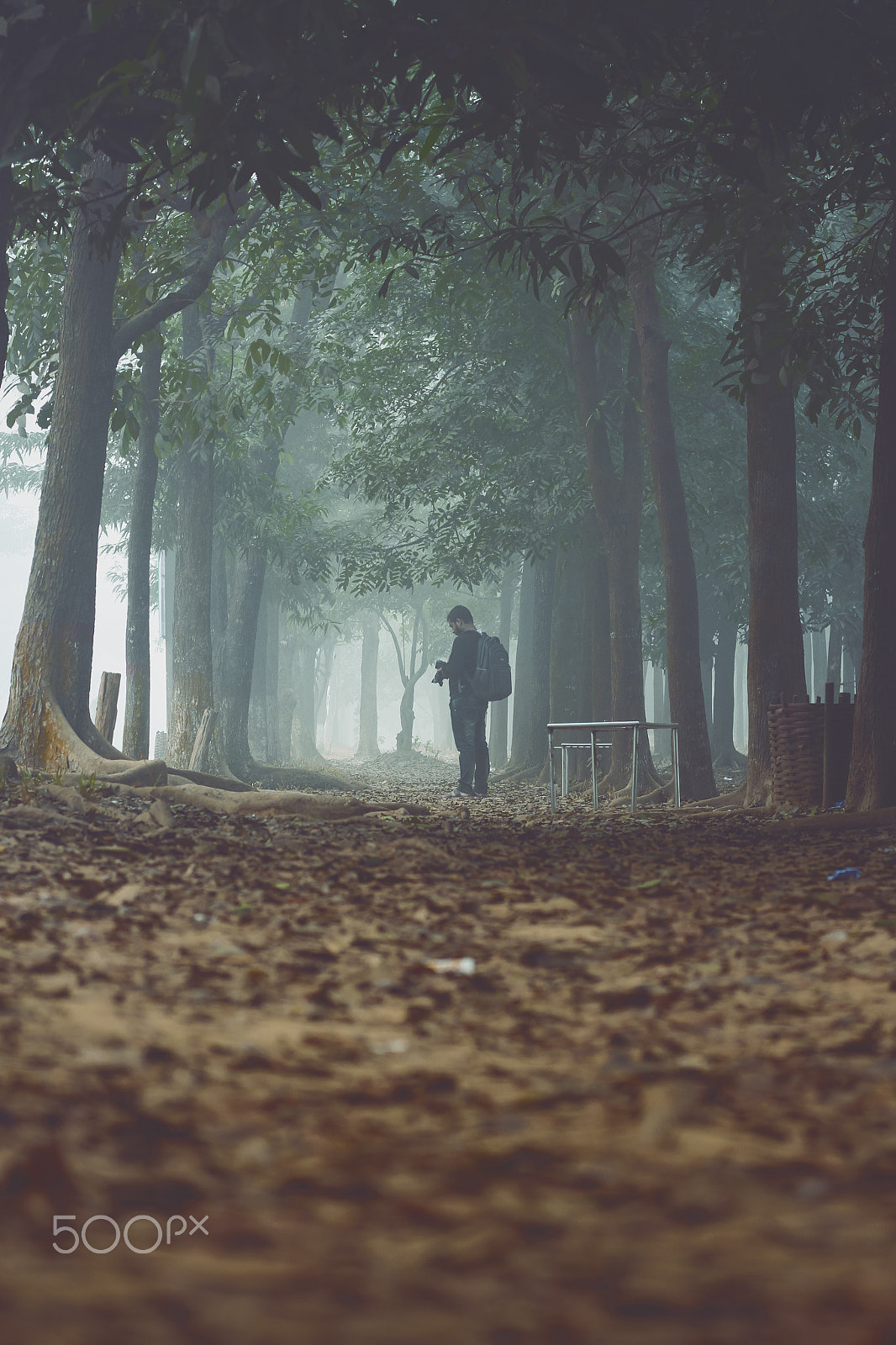 Canon EOS 7D + Canon EF 50mm F1.8 II sample photo. Photographer & winter photography