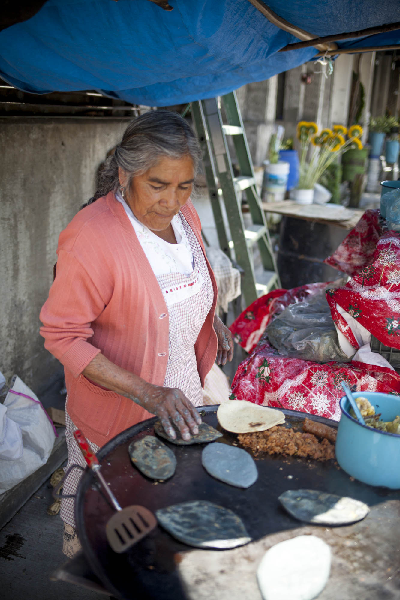 Canon EF 35mm F2 IS USM sample photo. City of mexico photography