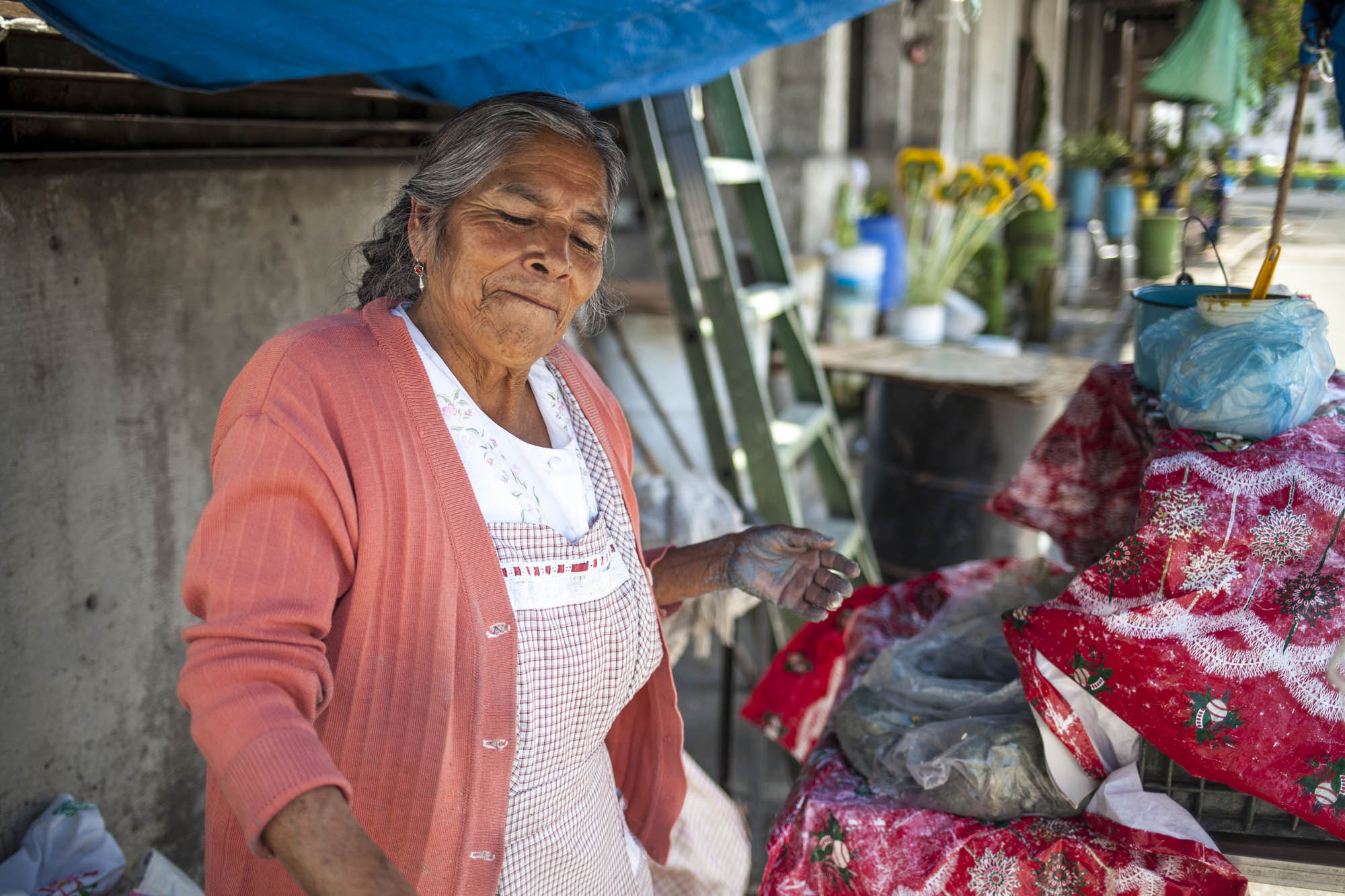 Canon EF 35mm F2 IS USM sample photo. City of mexico photography