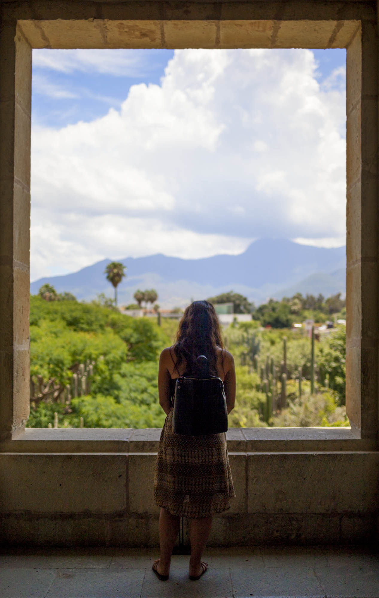 Canon EF 35mm F2 IS USM sample photo. Oaxaca photography