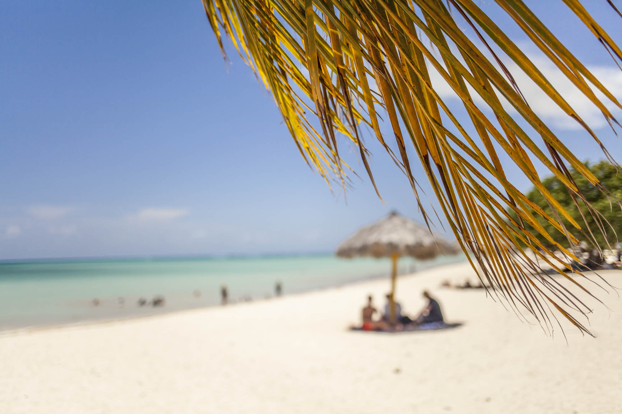 Canon EF 35mm F2 IS USM sample photo. Cuba photography