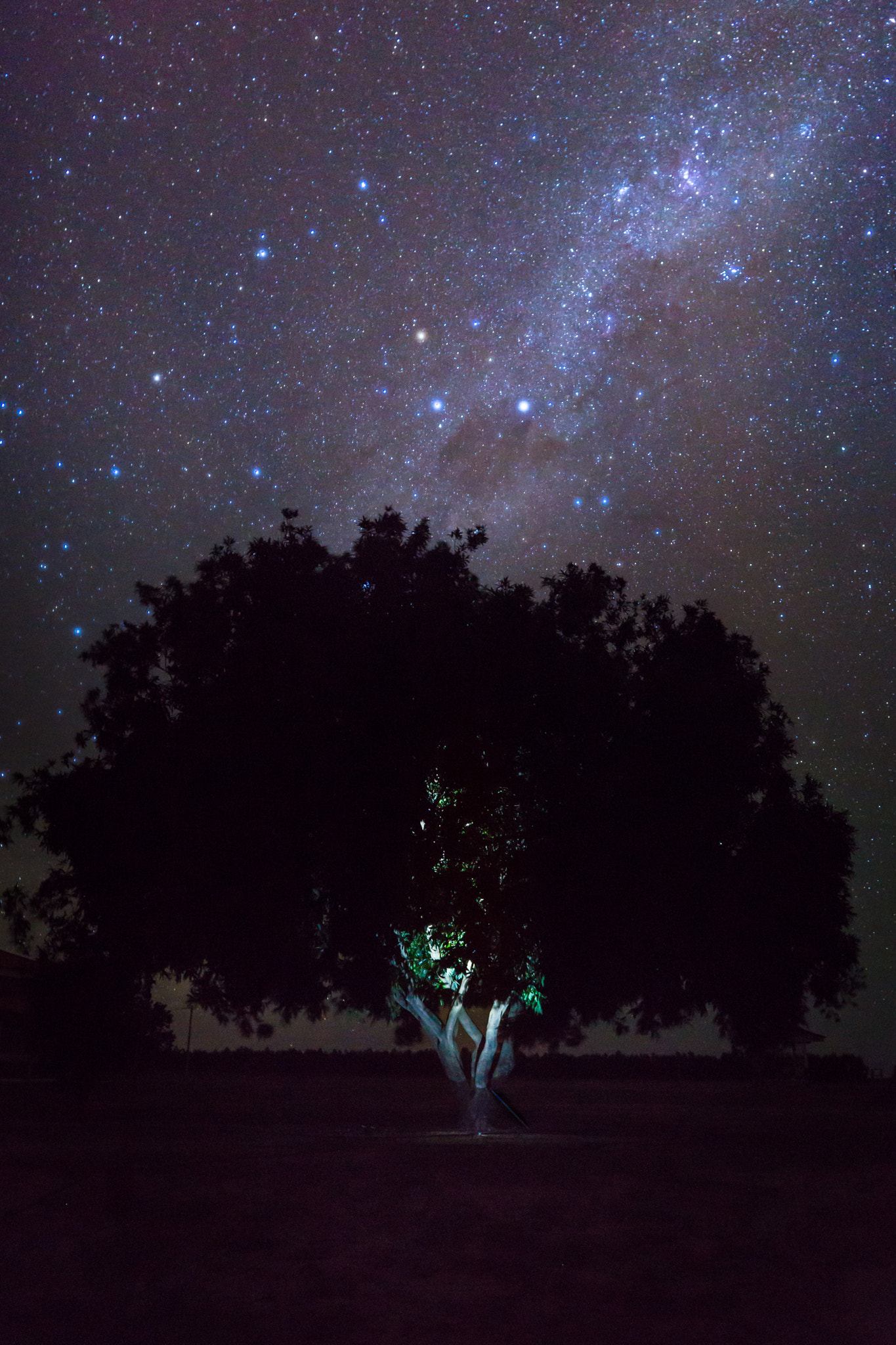 Sony a6000 + Sigma 19mm F2.8 EX DN sample photo. Enlighten photography