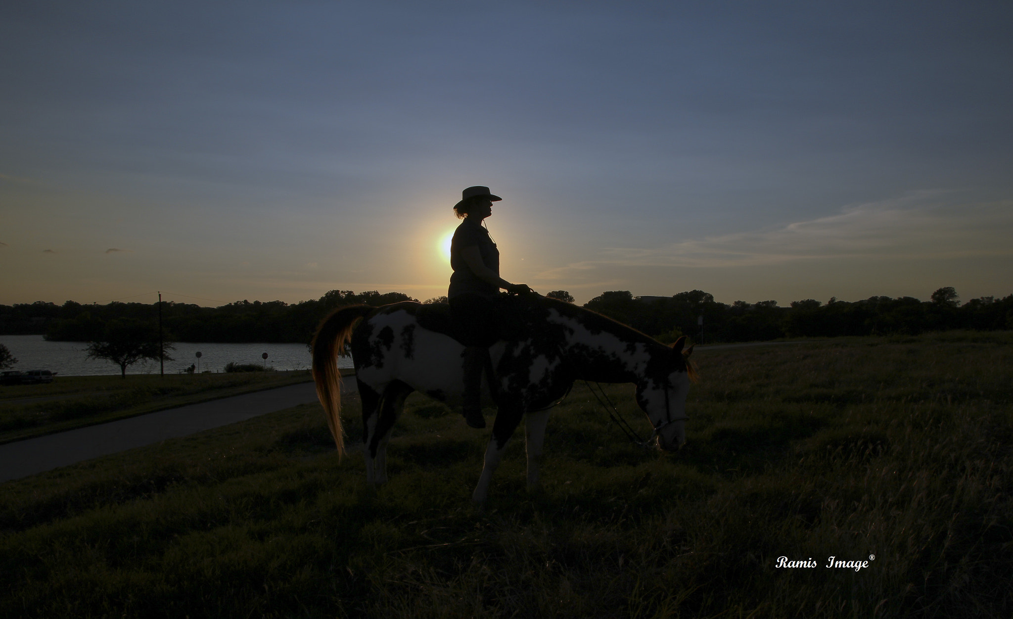 Sigma 18-250mm F3.5-6.3 DC OS HSM sample photo. A horse with no name photography