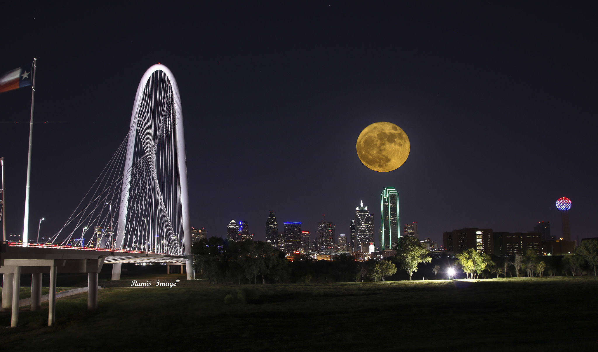 Sigma 18-250mm F3.5-6.3 DC OS HSM sample photo. Dallas tx photography