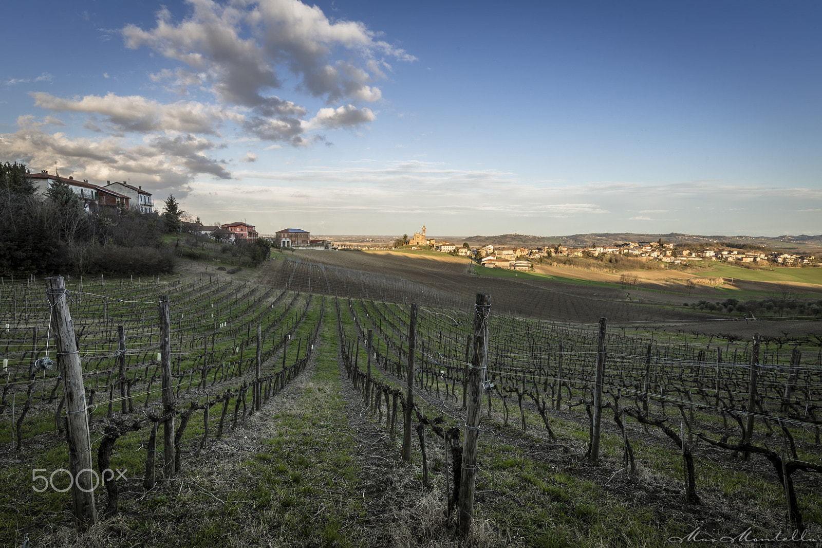 Canon EOS 6D + Canon EF 300mm f/2.8L sample photo. Vineyard's rebirth photography