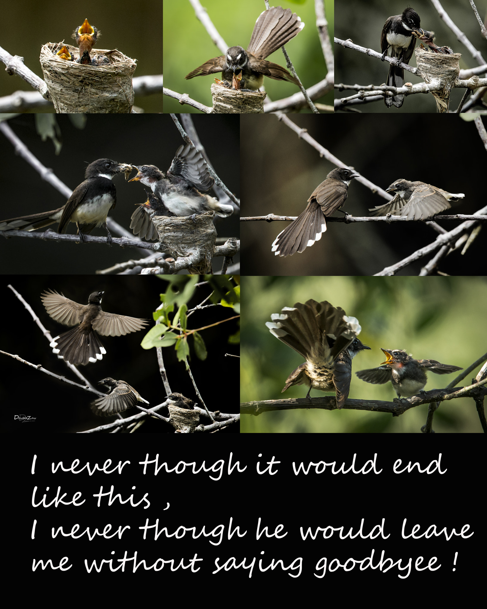 Nikon D4 sample photo. Story photography