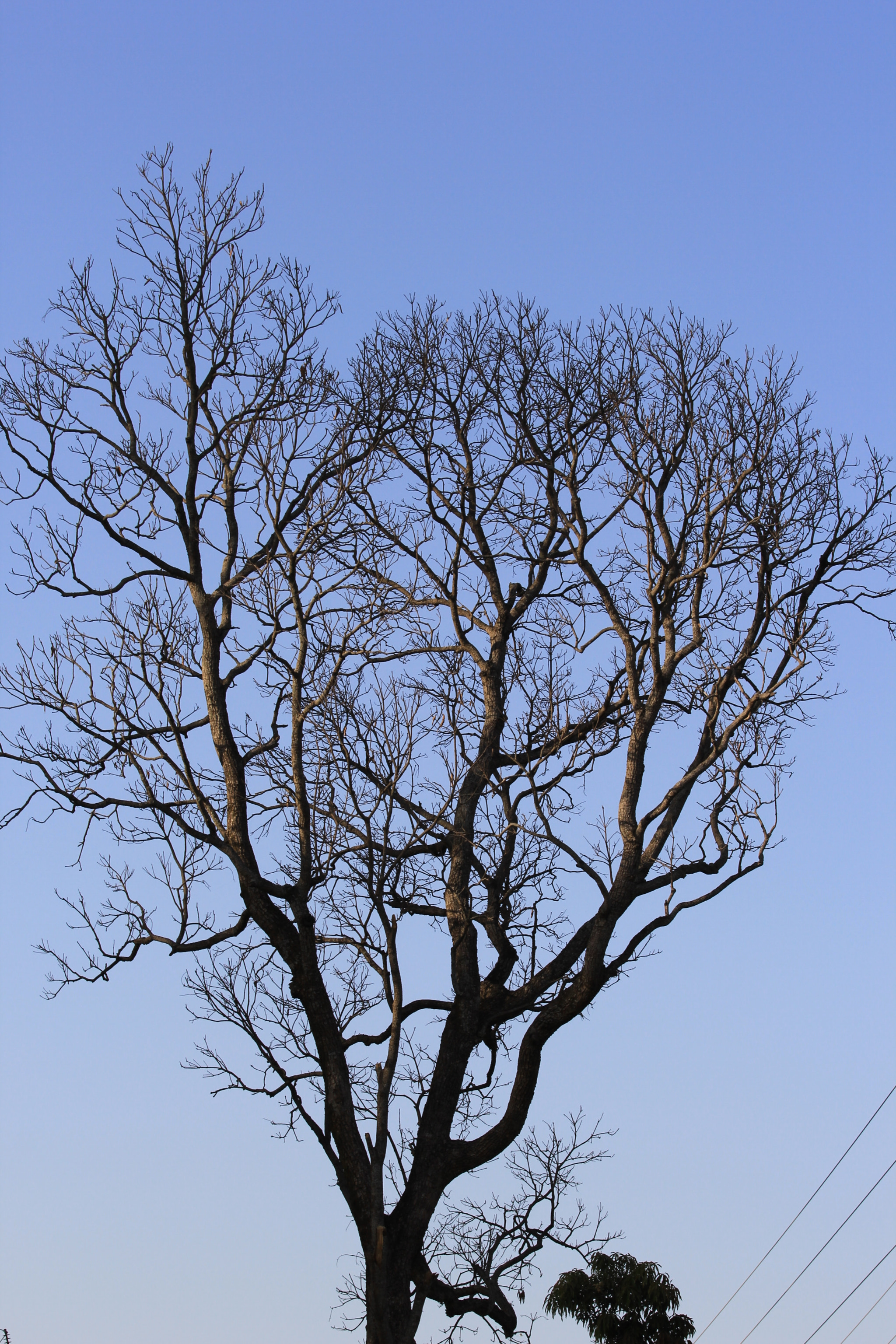 Canon EF 70-300mm F4-5.6 IS USM sample photo