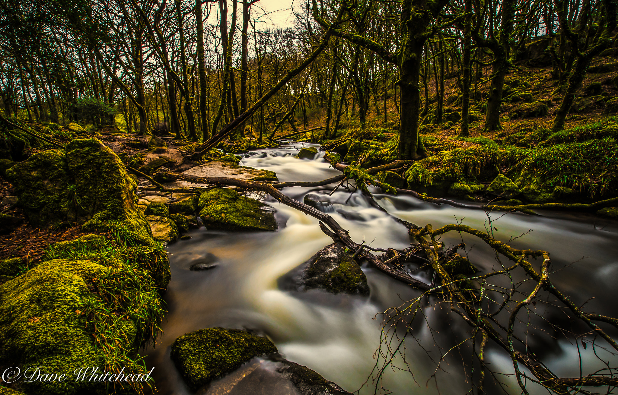 Nikon D750 + Sigma 10-20mm F3.5 EX DC HSM sample photo. River milk photography